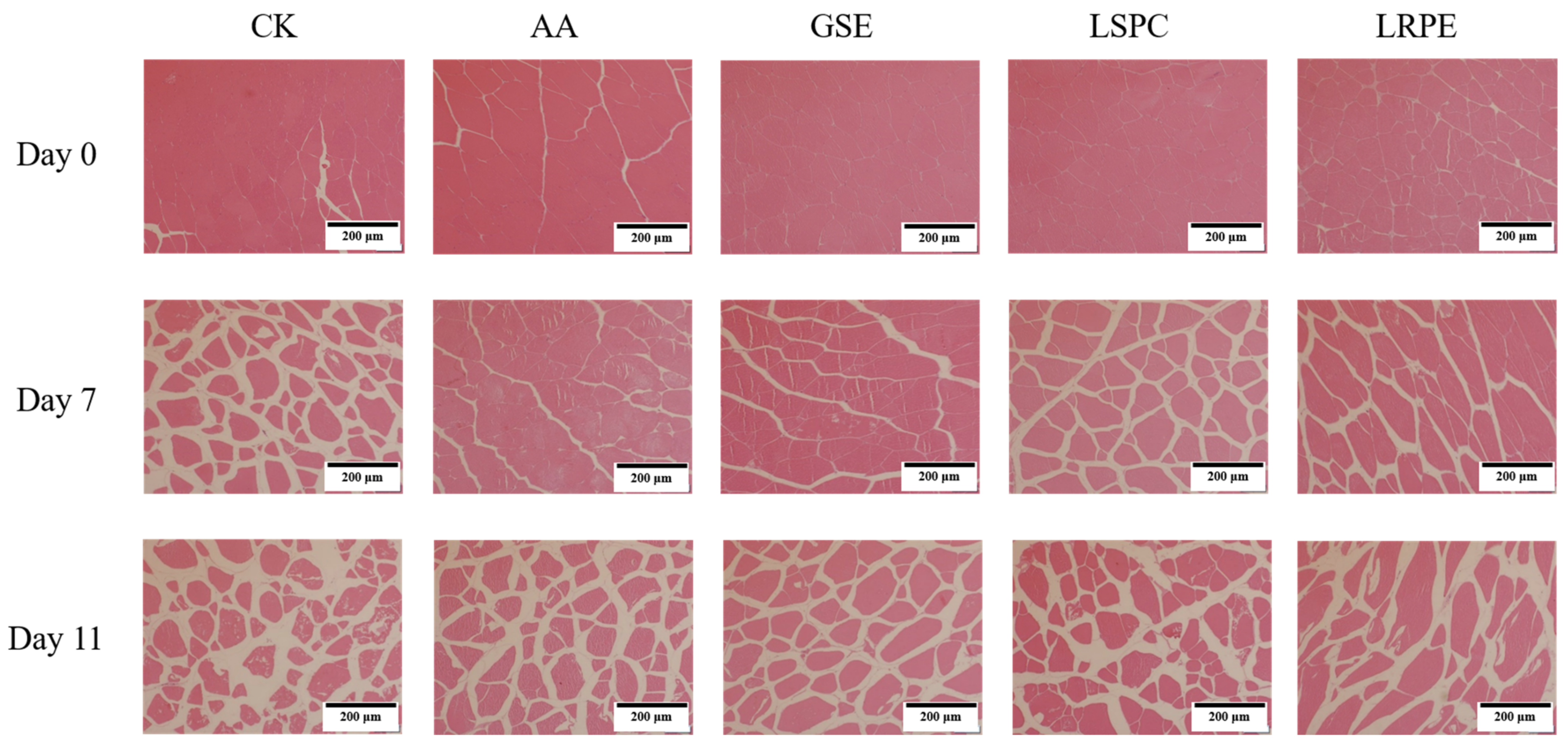 Foods 12 00765 g003 550