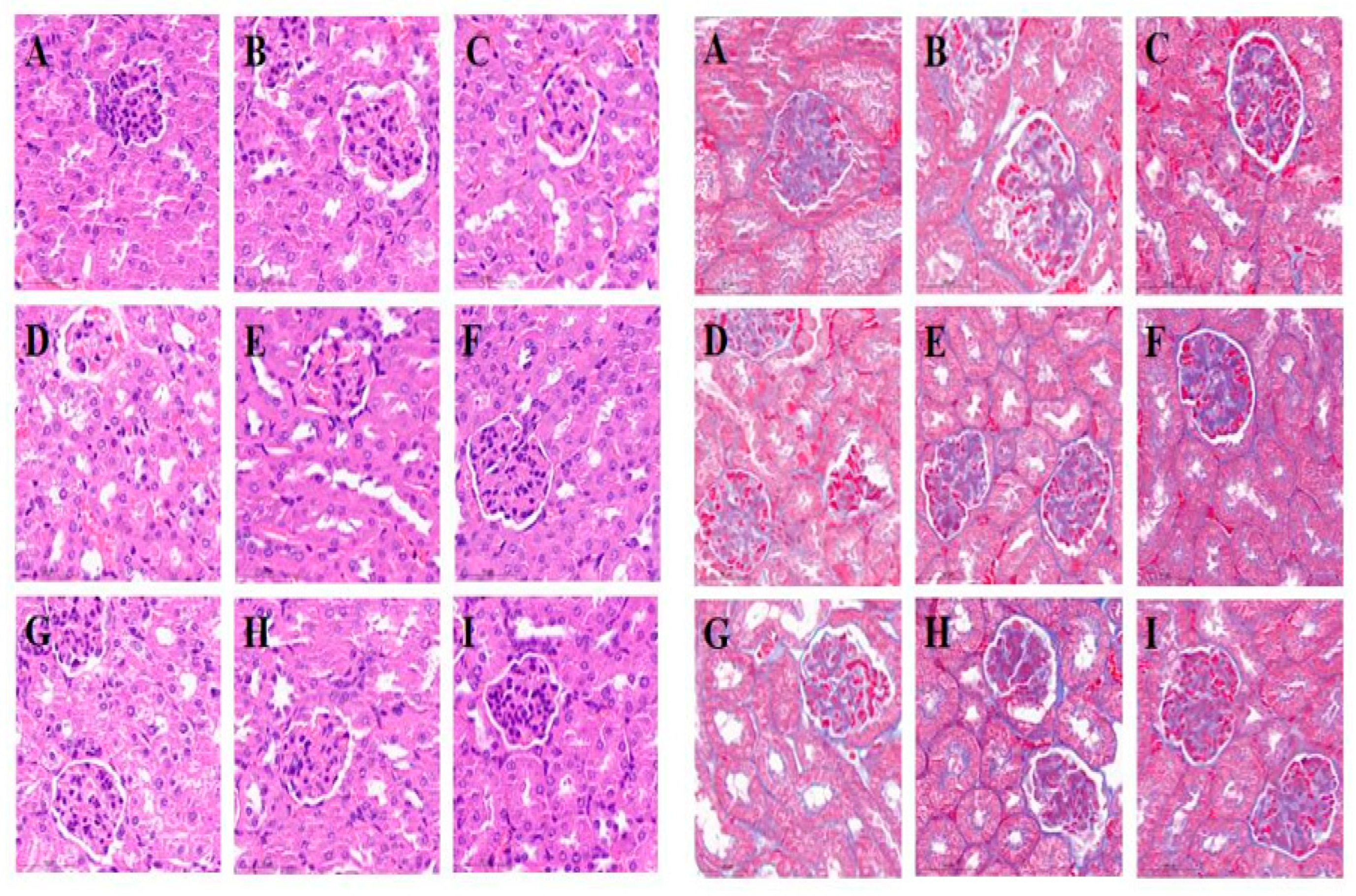 Foods 12 00767 g004 Foods 12 00767 g004