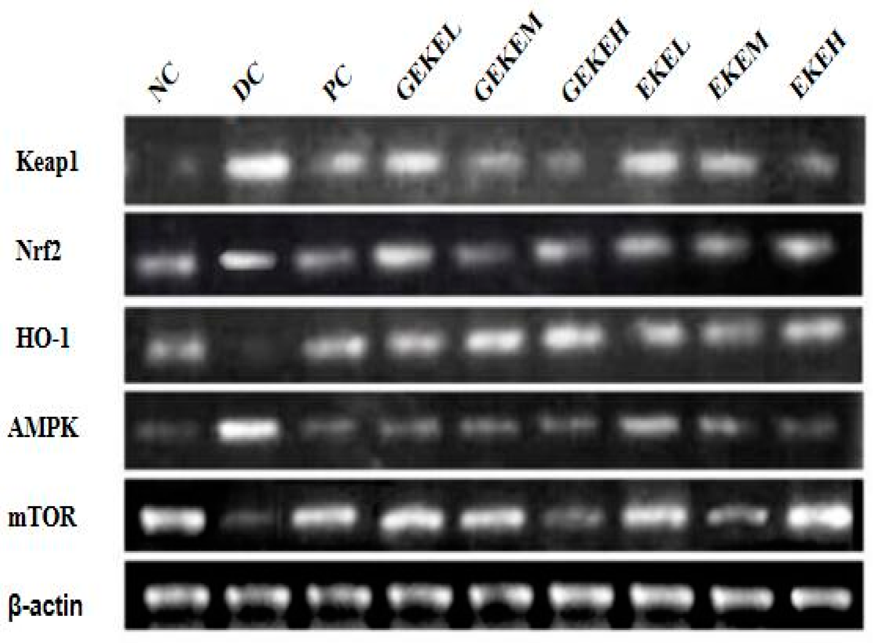 Foods 12 00767 g005 Foods 12 00767 g005