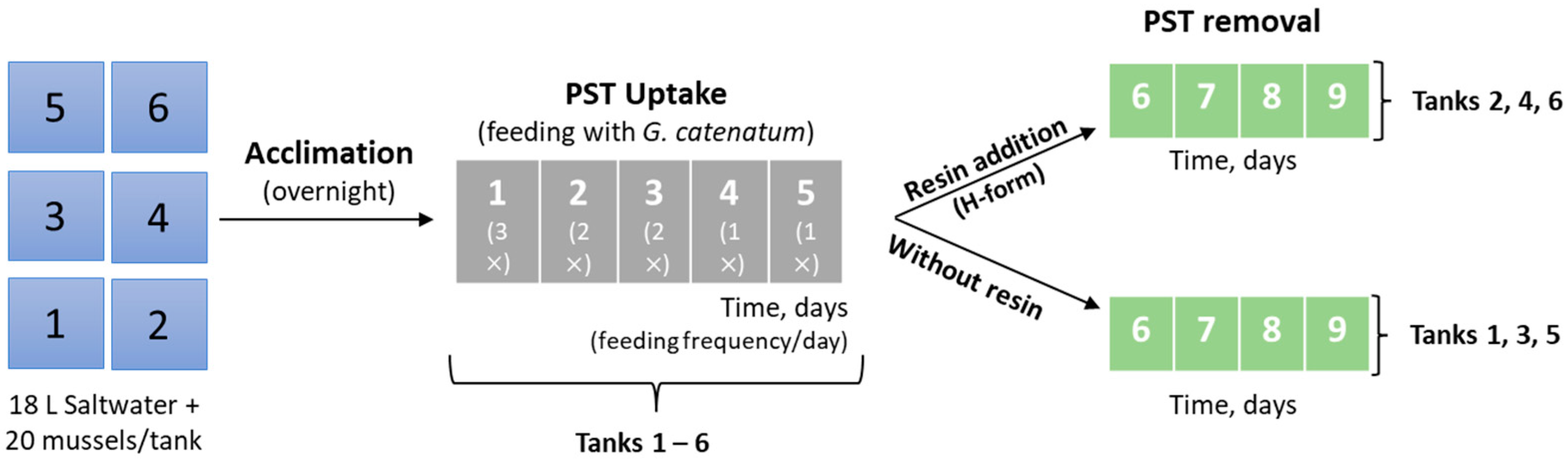 Foods 12 00768 g003 Foods 12 00768 g003