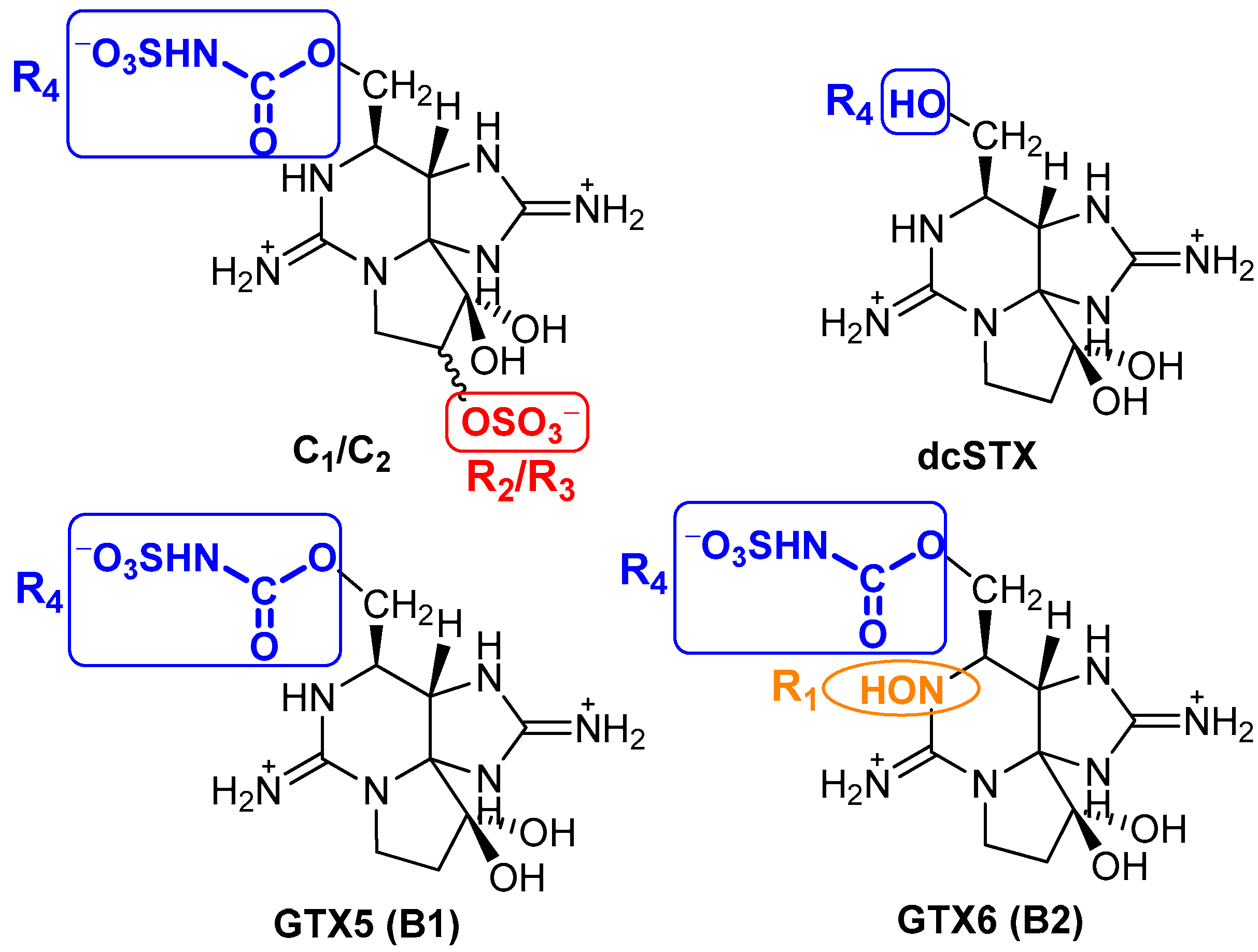 Foods 12 00768 g007 Foods 12 00768 g007