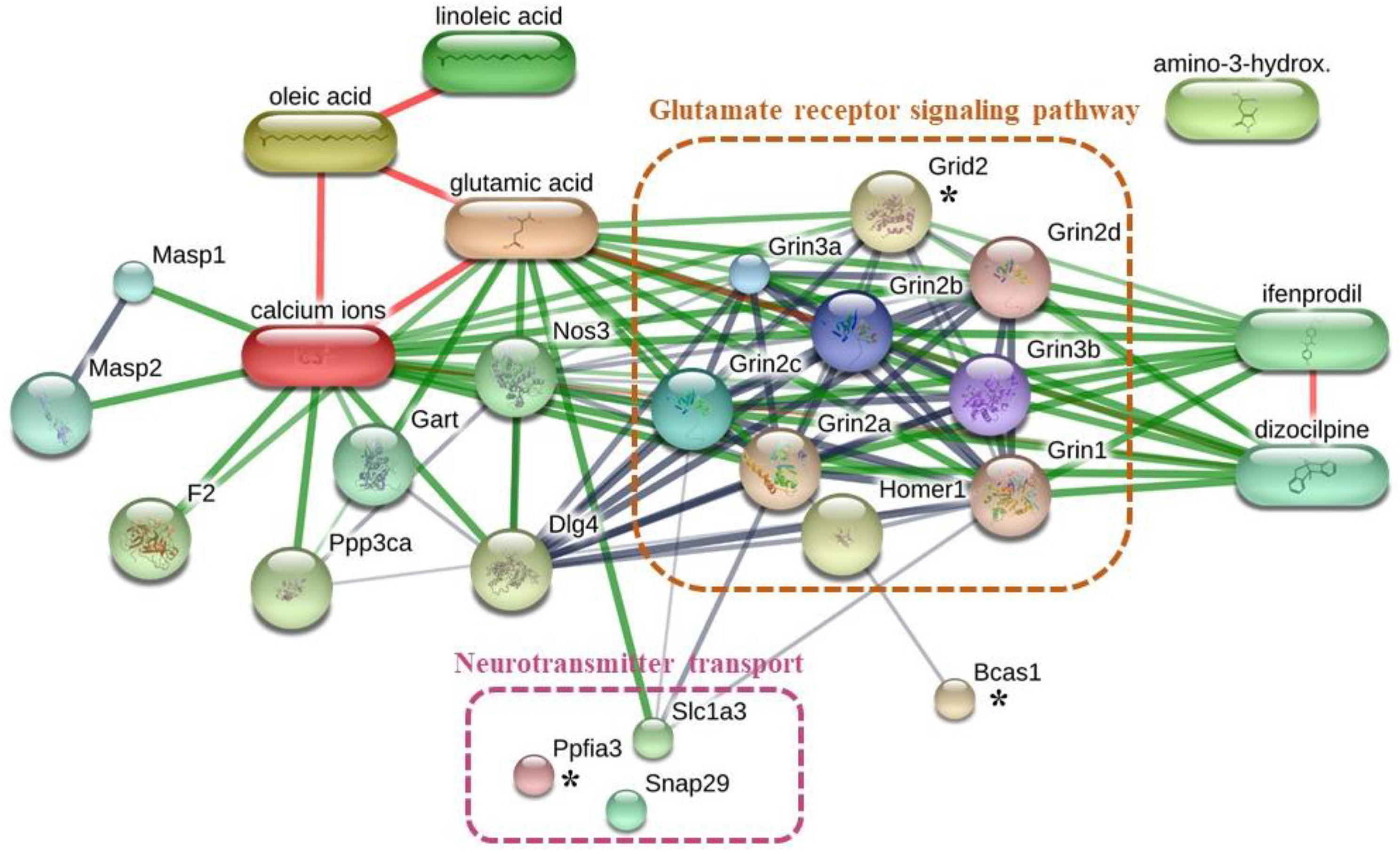Foods 12 00791 g006 Foods 12 00791 g006