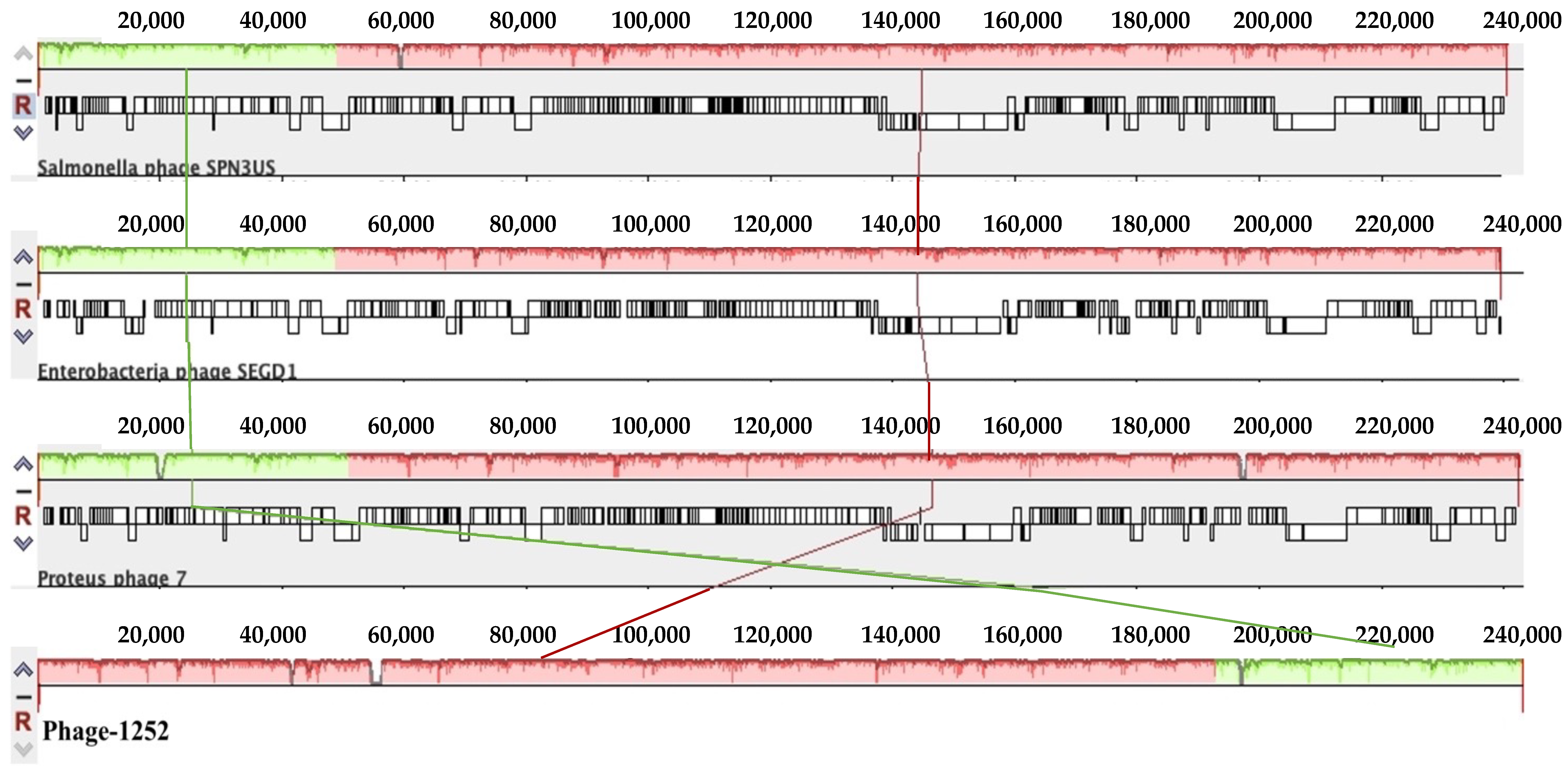 Foods 12 00797 g001a Foods 12 00797 g001a