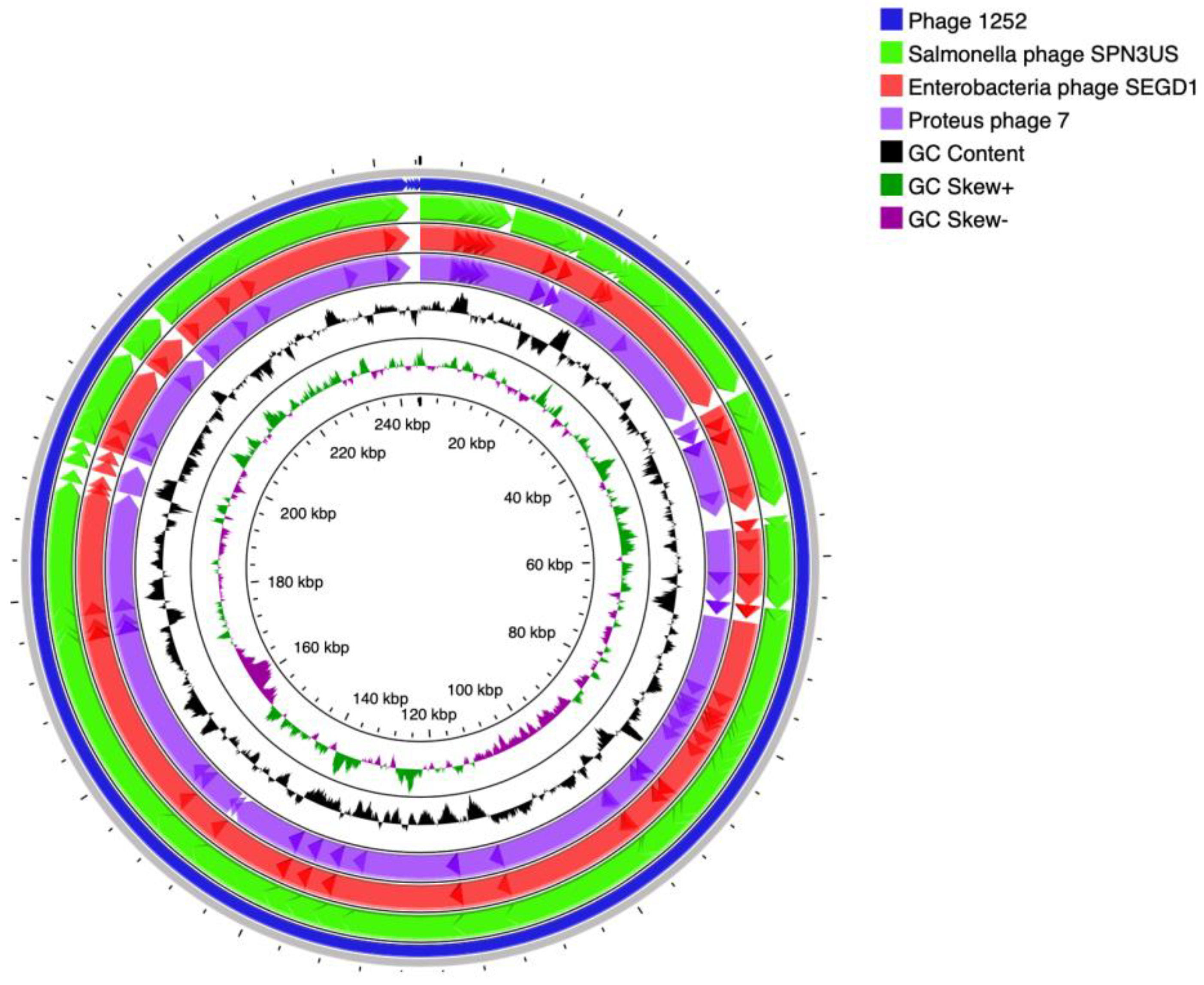 Foods 12 00797 g001b Foods 12 00797 g001b