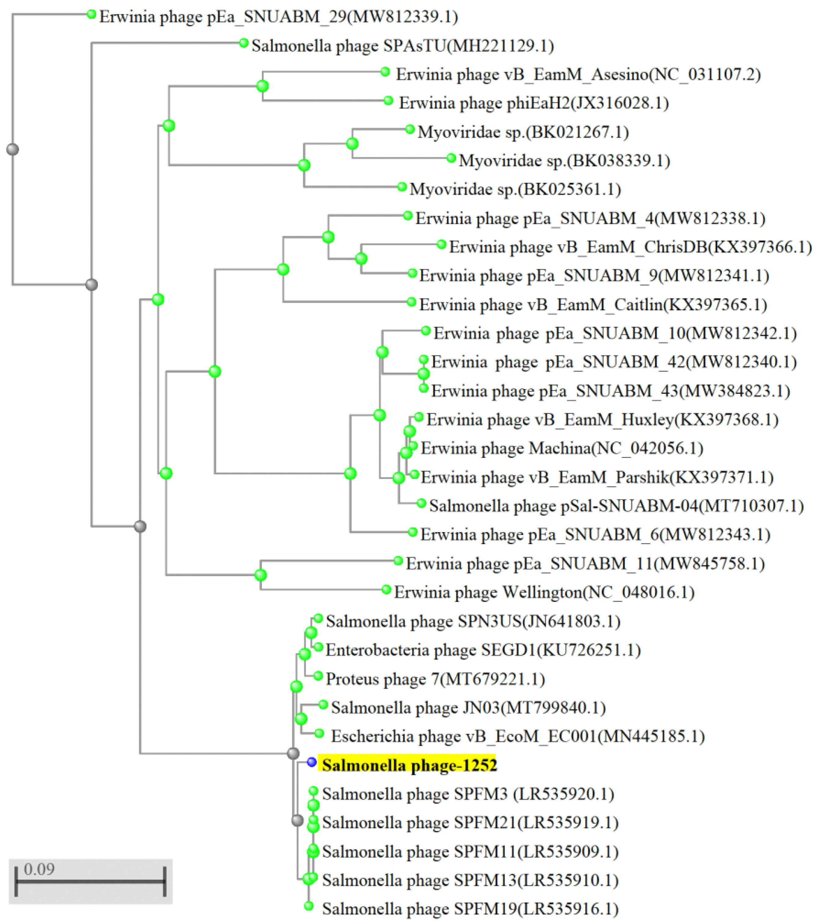 Foods 12 00797 g002 Foods 12 00797 g002
