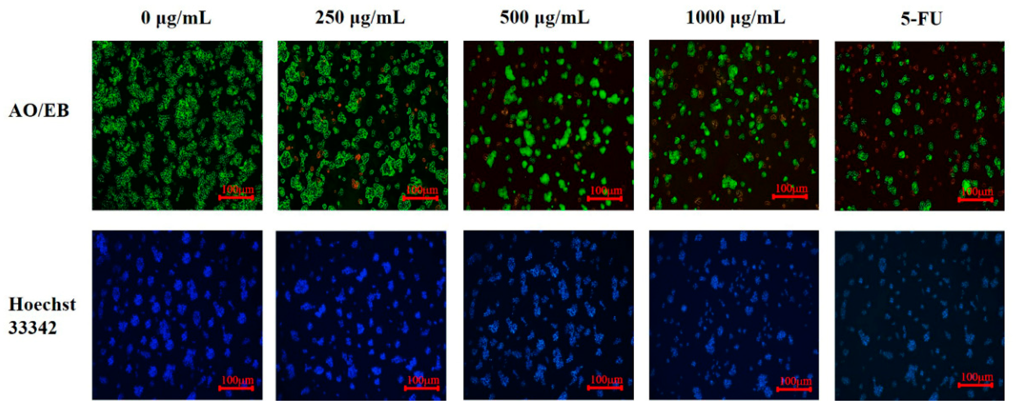 Foods 12 00800 g006 Foods 12 00800 g006