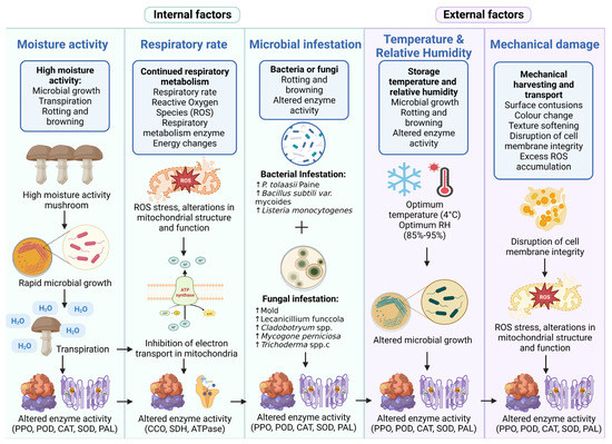 Advances in the Role and Mechanisms of Essential Oils and Advances in the Role and Mechanisms of Essential Oils and