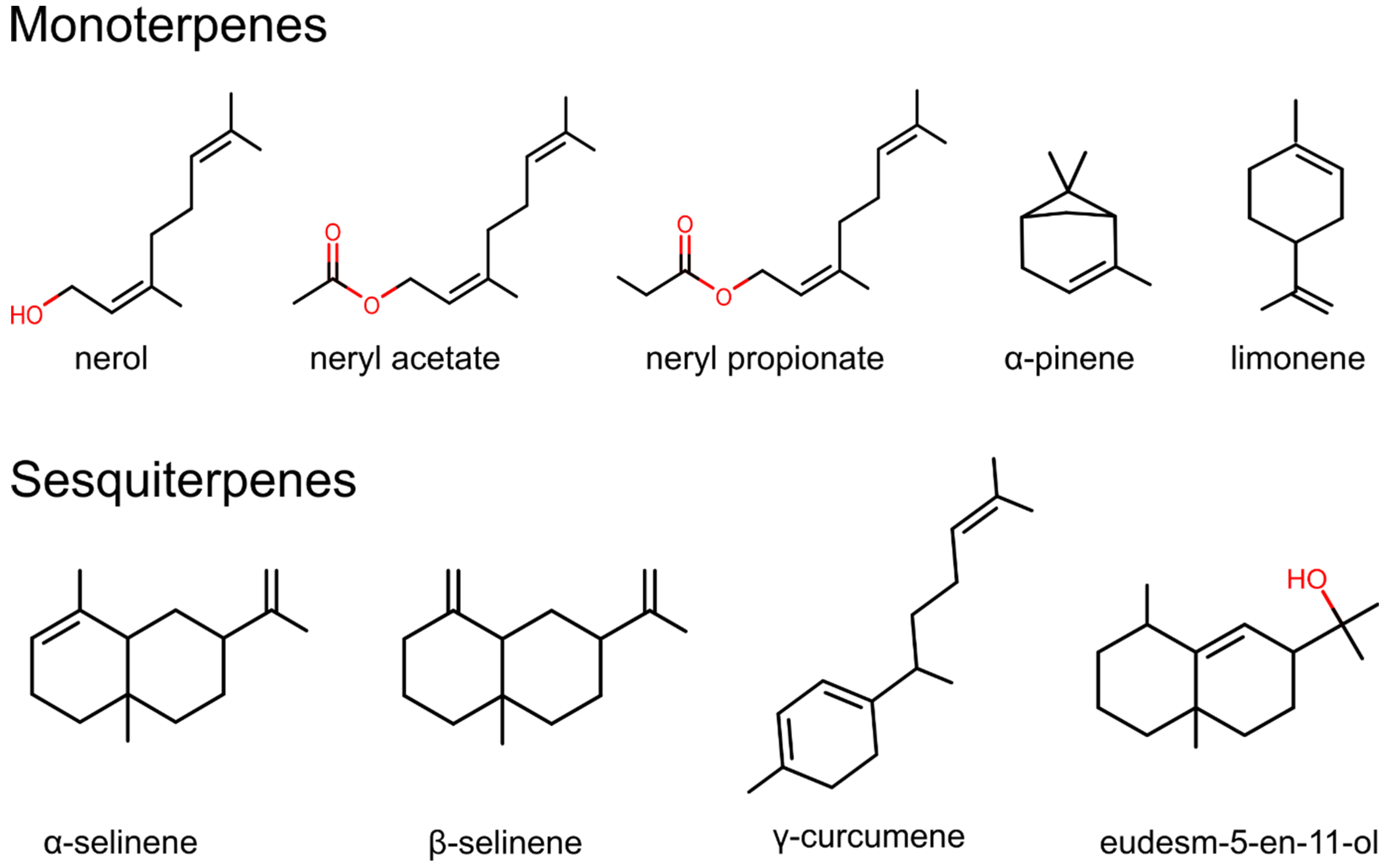 Foods 12 00802 g004 Foods 12 00802 g004