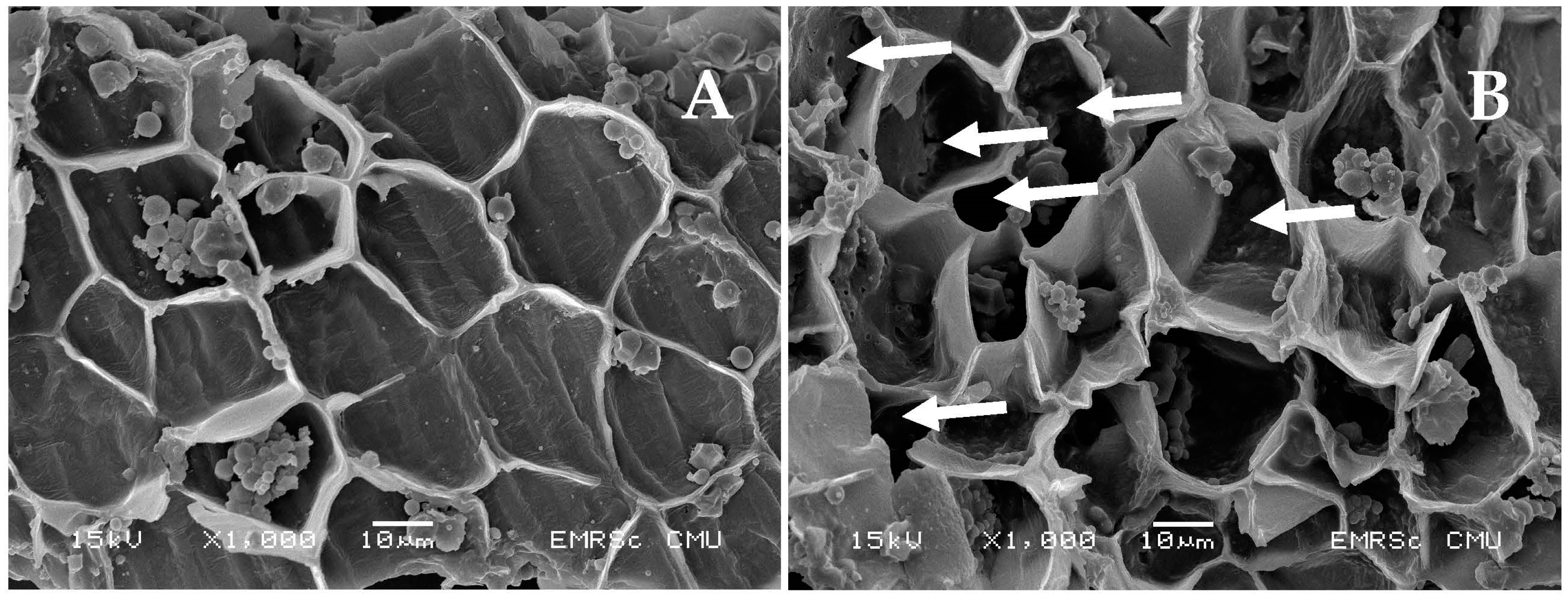 Foods 12 00835 g001 Foods 12 00835 g001