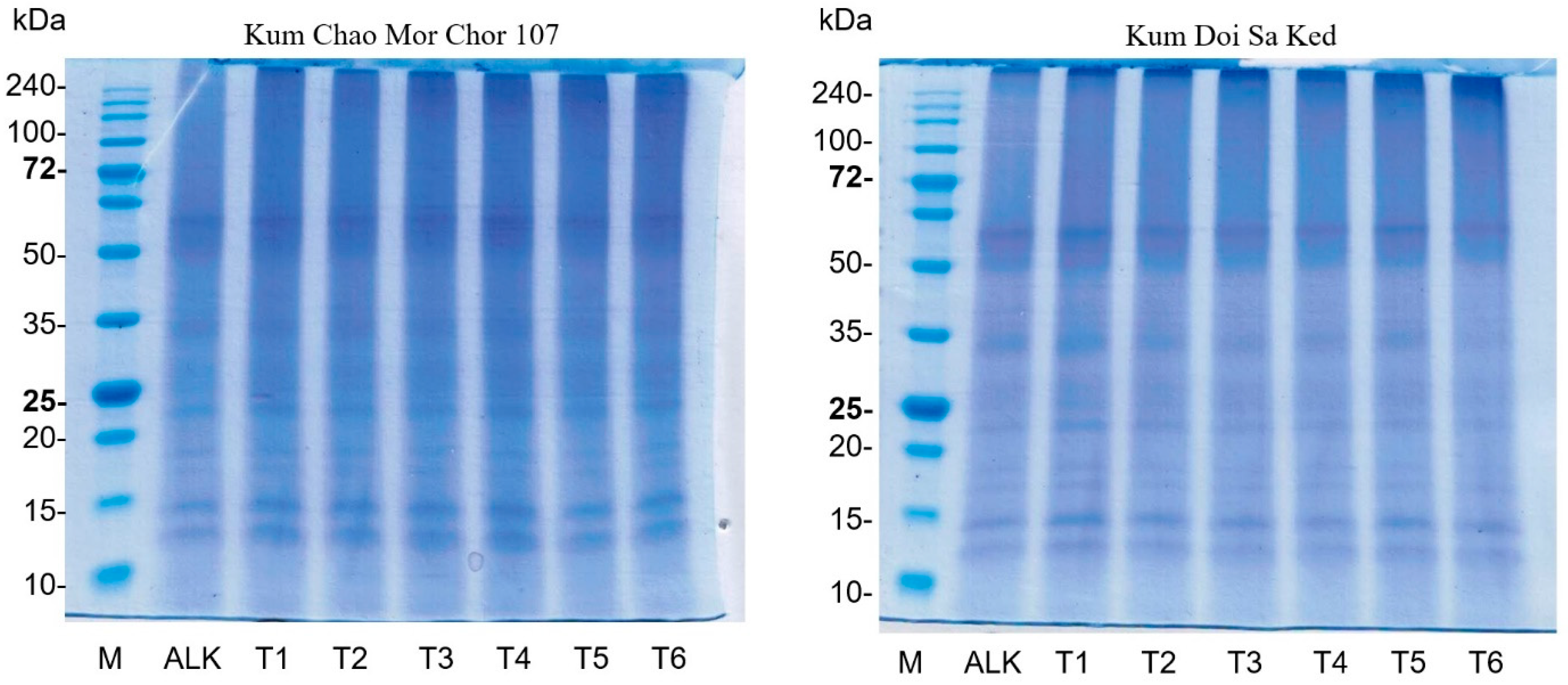 Foods 12 00835 g002 Foods 12 00835 g002