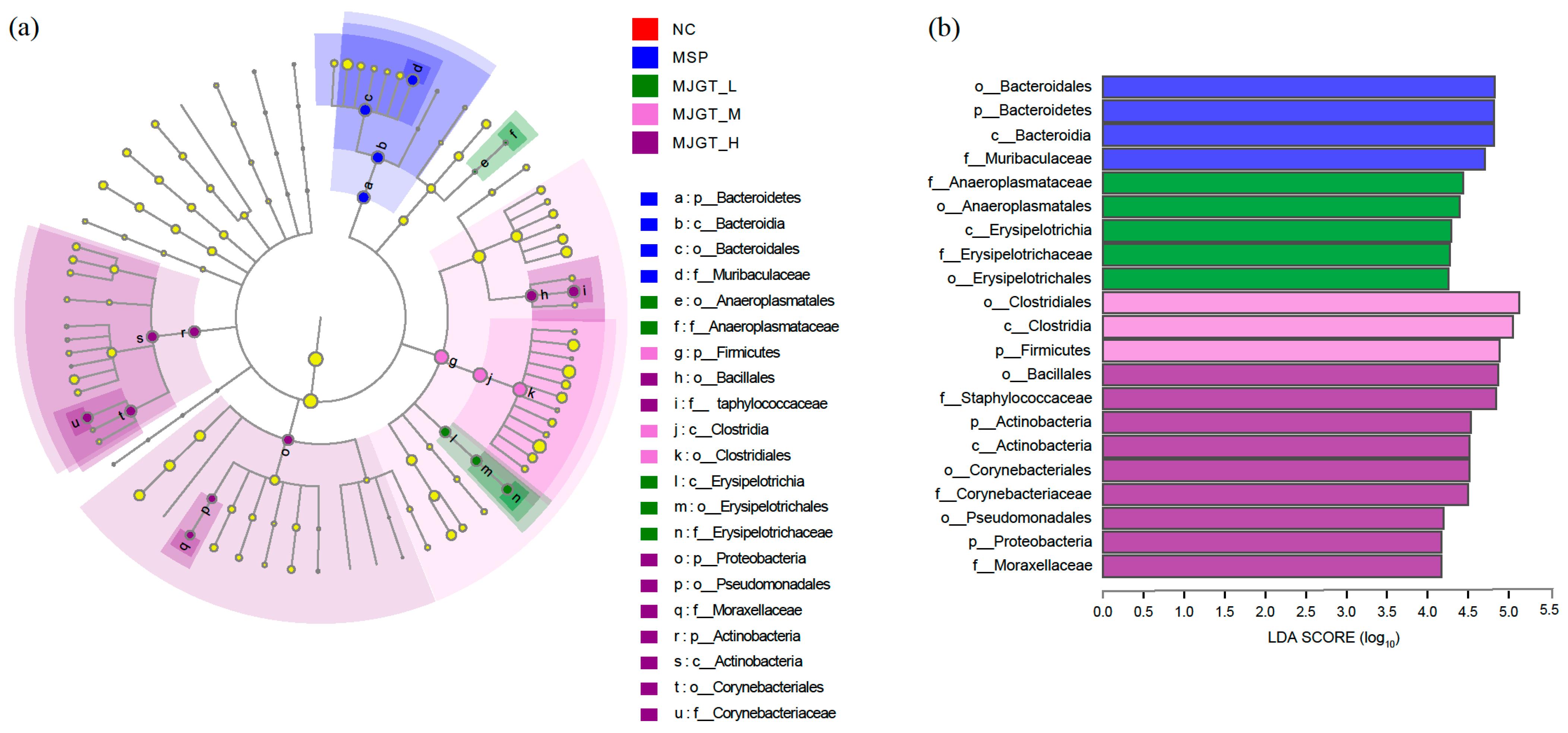 Foods 12 00854 g007 Foods 12 00854 g007