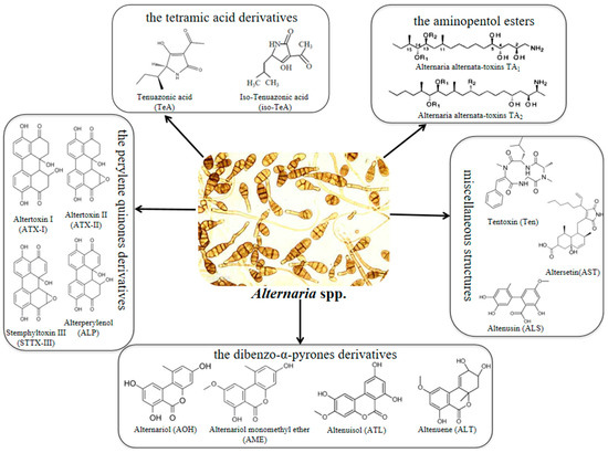 Simultaneous Rapid Determination of Seven Alternaria Toxins