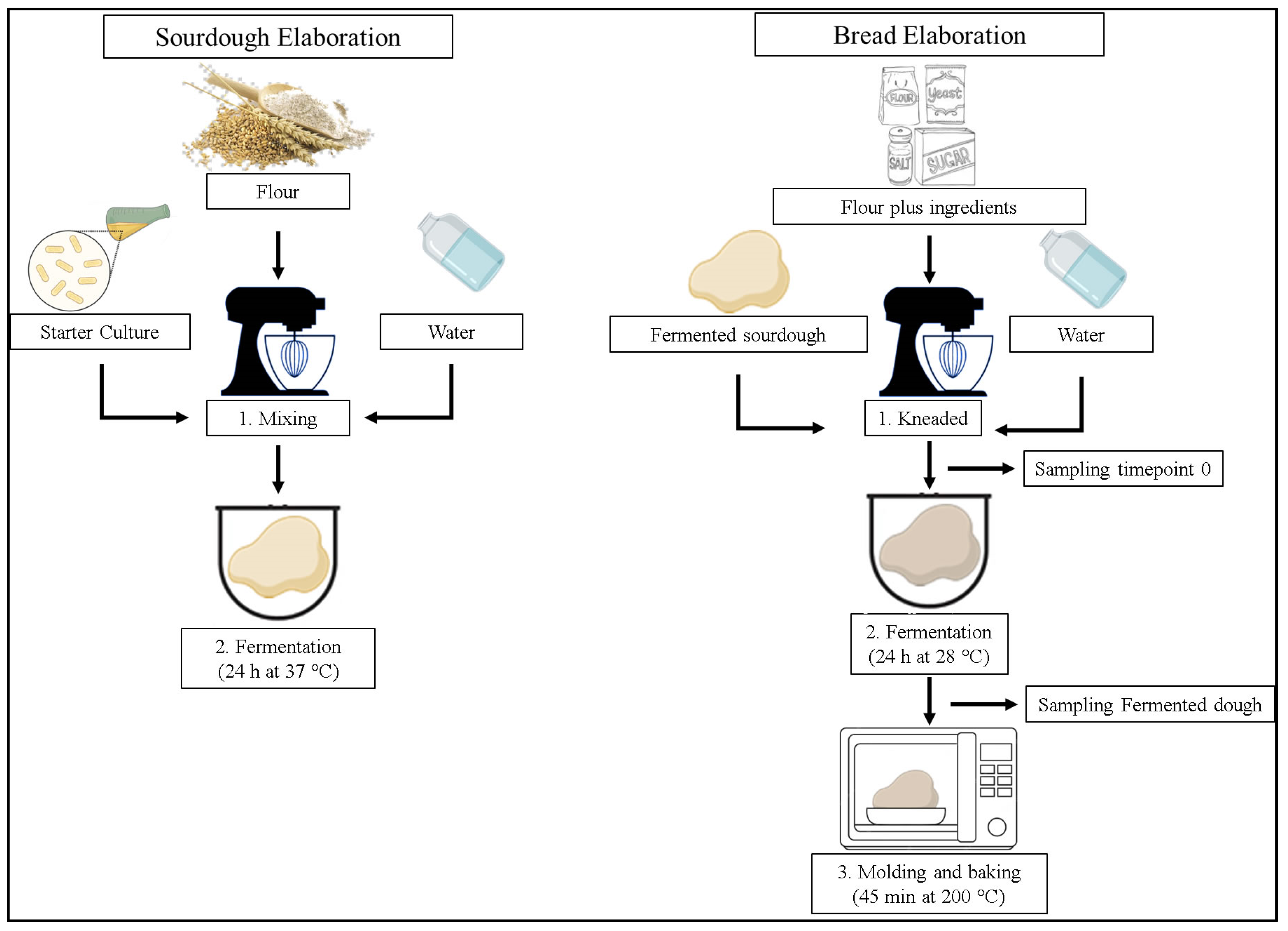 Foods 12 00864 g001 Foods 12 00864 g001