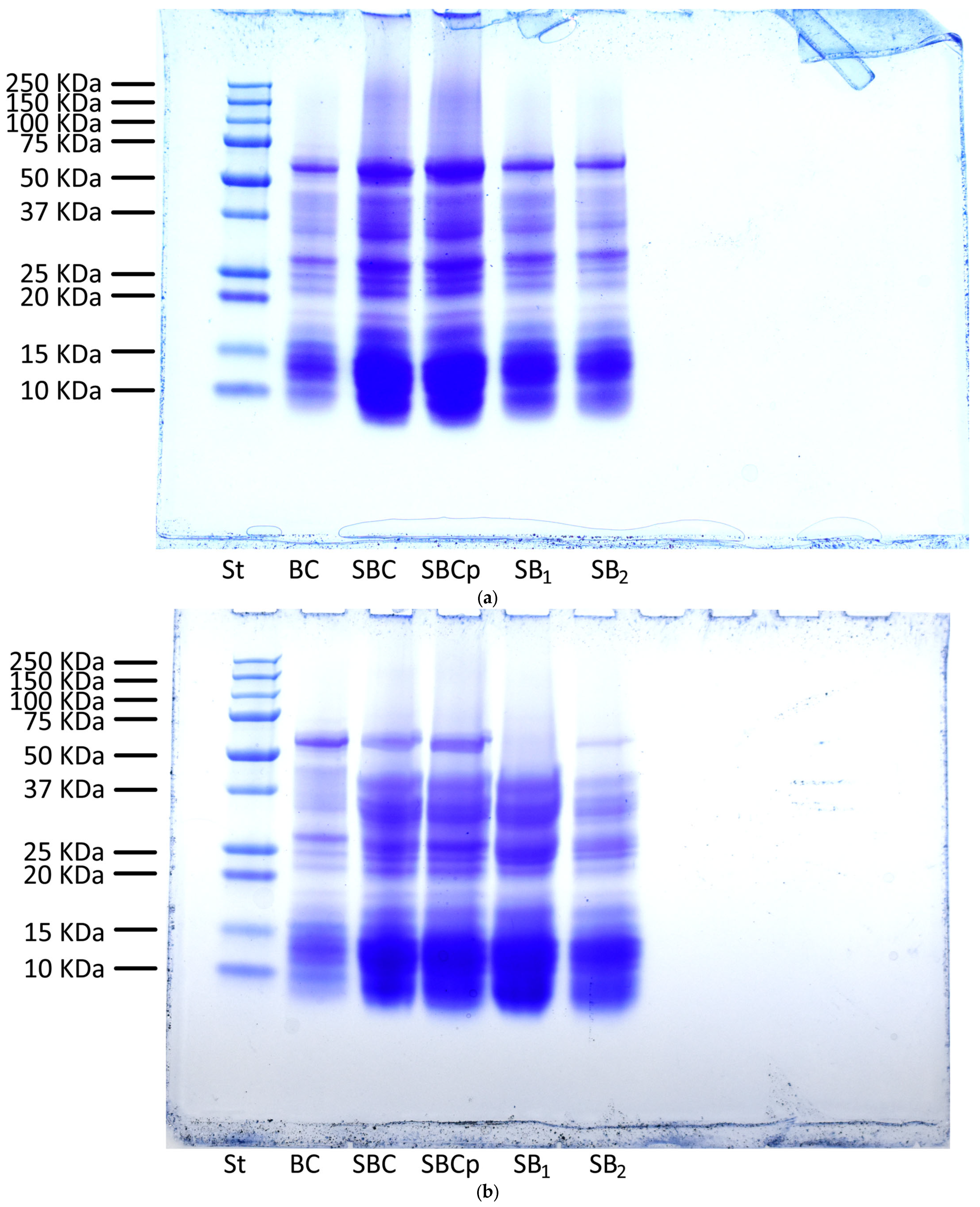 Foods 12 00864 g004a Foods 12 00864 g004a