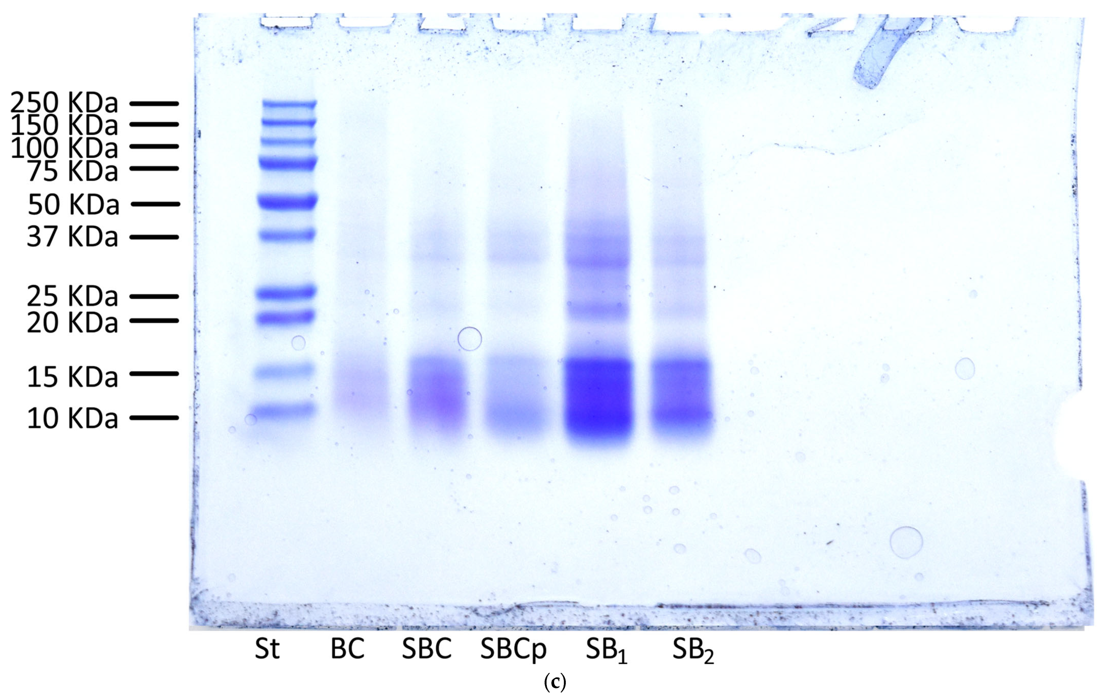 Foods 12 00864 g004b Foods 12 00864 g004b