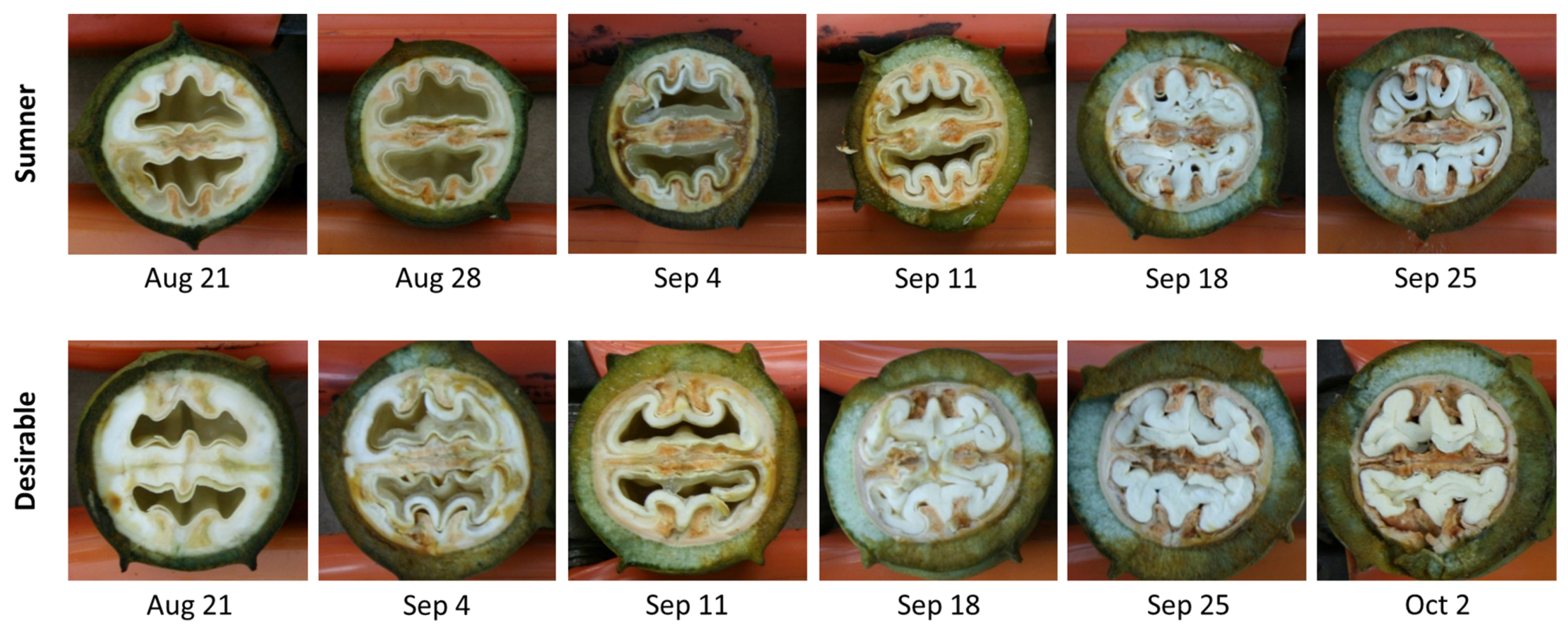 Foods 12 00866 g001 Foods 12 00866 g001