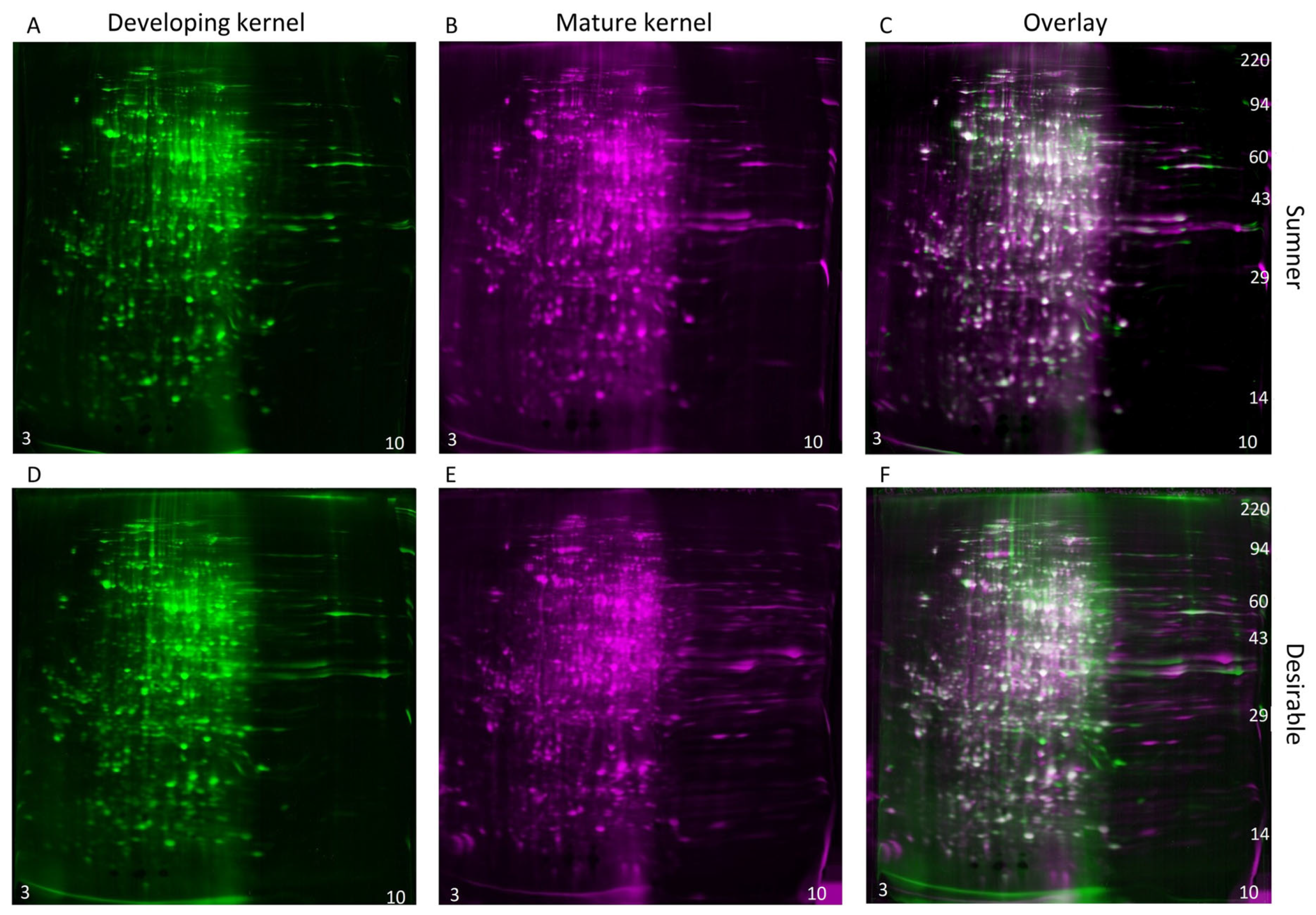 Foods 12 00866 g006 Foods 12 00866 g006