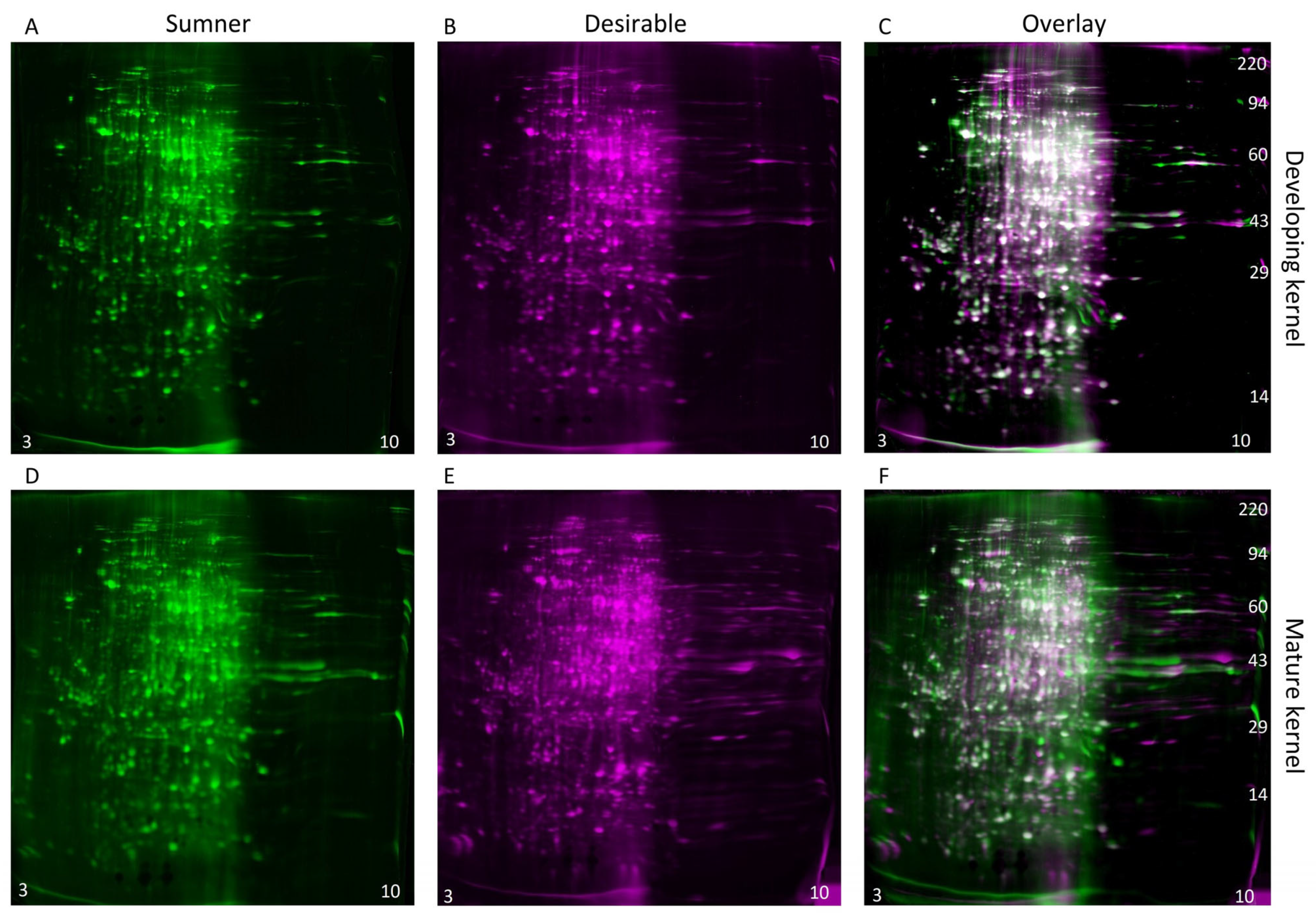 Foods 12 00866 g007 Foods 12 00866 g007