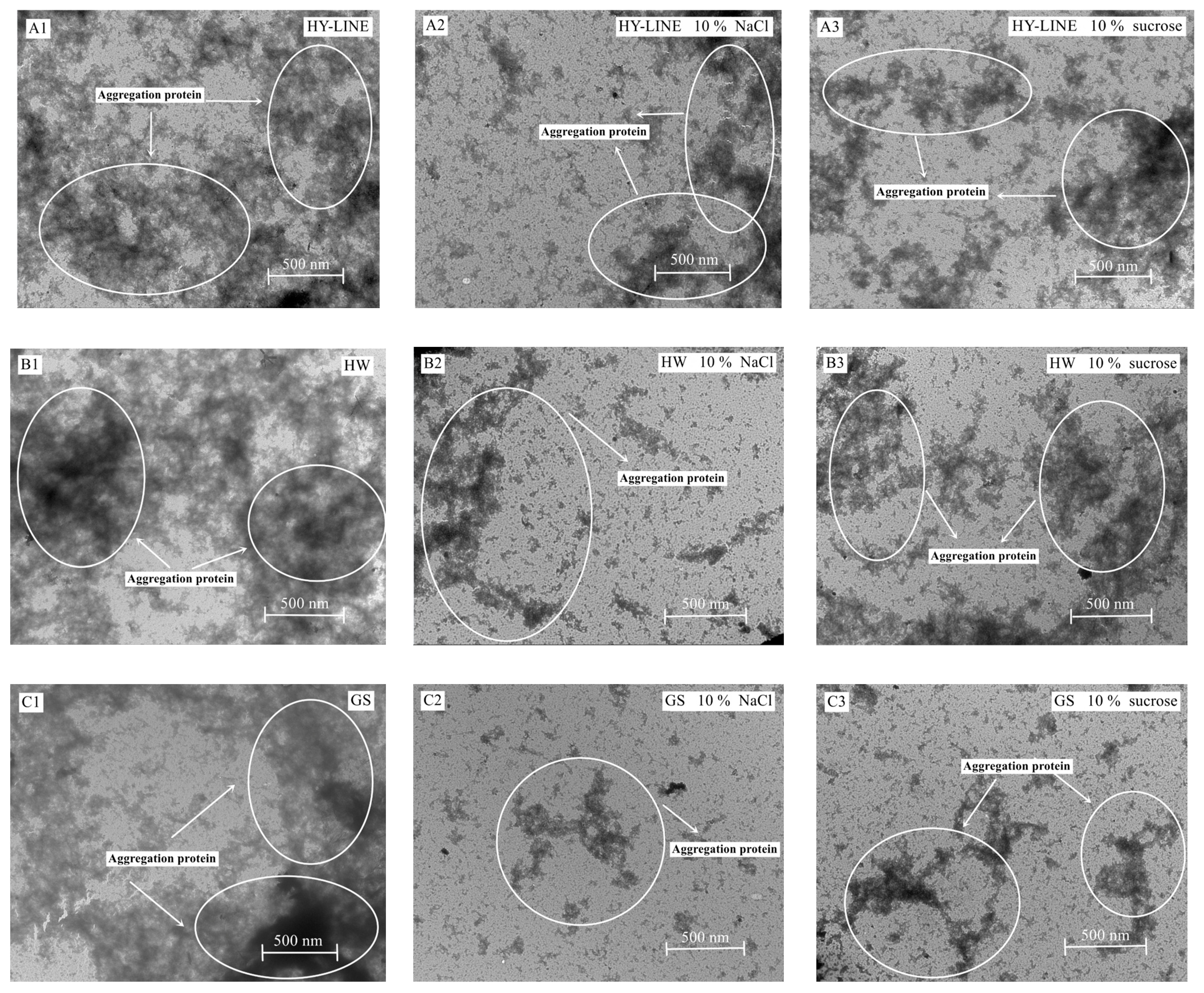 Foods 12 00881 g006a Foods 12 00881 g006a