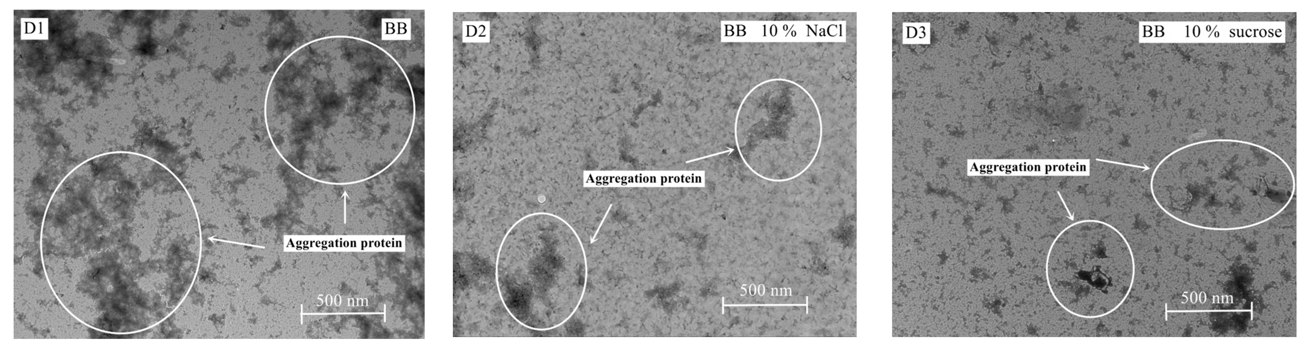 Foods 12 00881 g006b Foods 12 00881 g006b