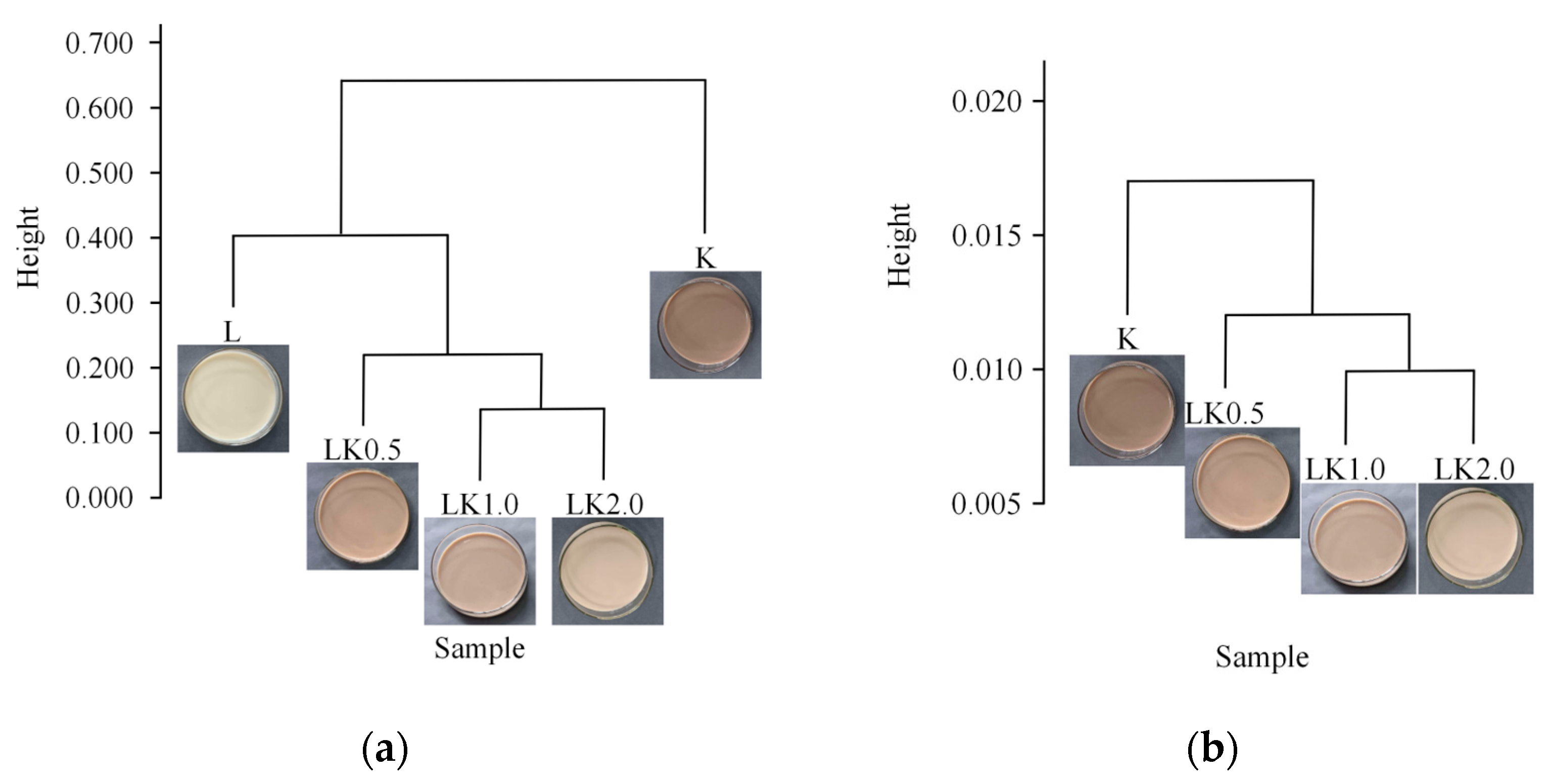 Foods 12 00884 g005 Foods 12 00884 g005