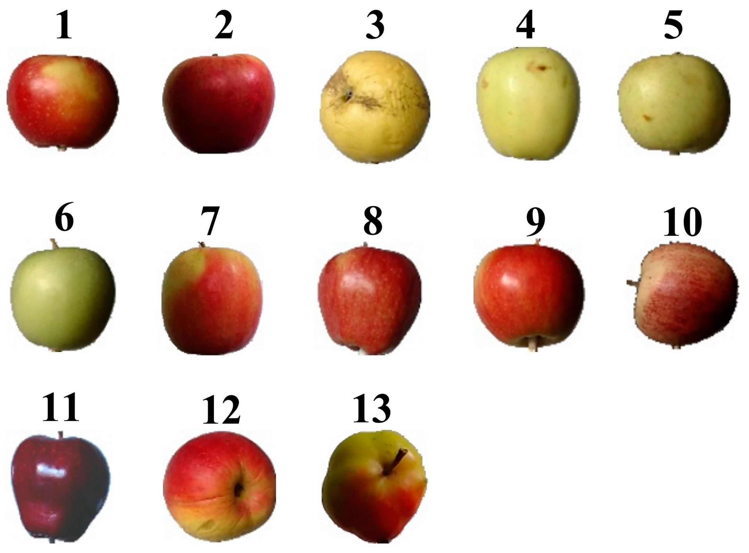 Apple - Granny Smith - tasting notes, identification, reviews