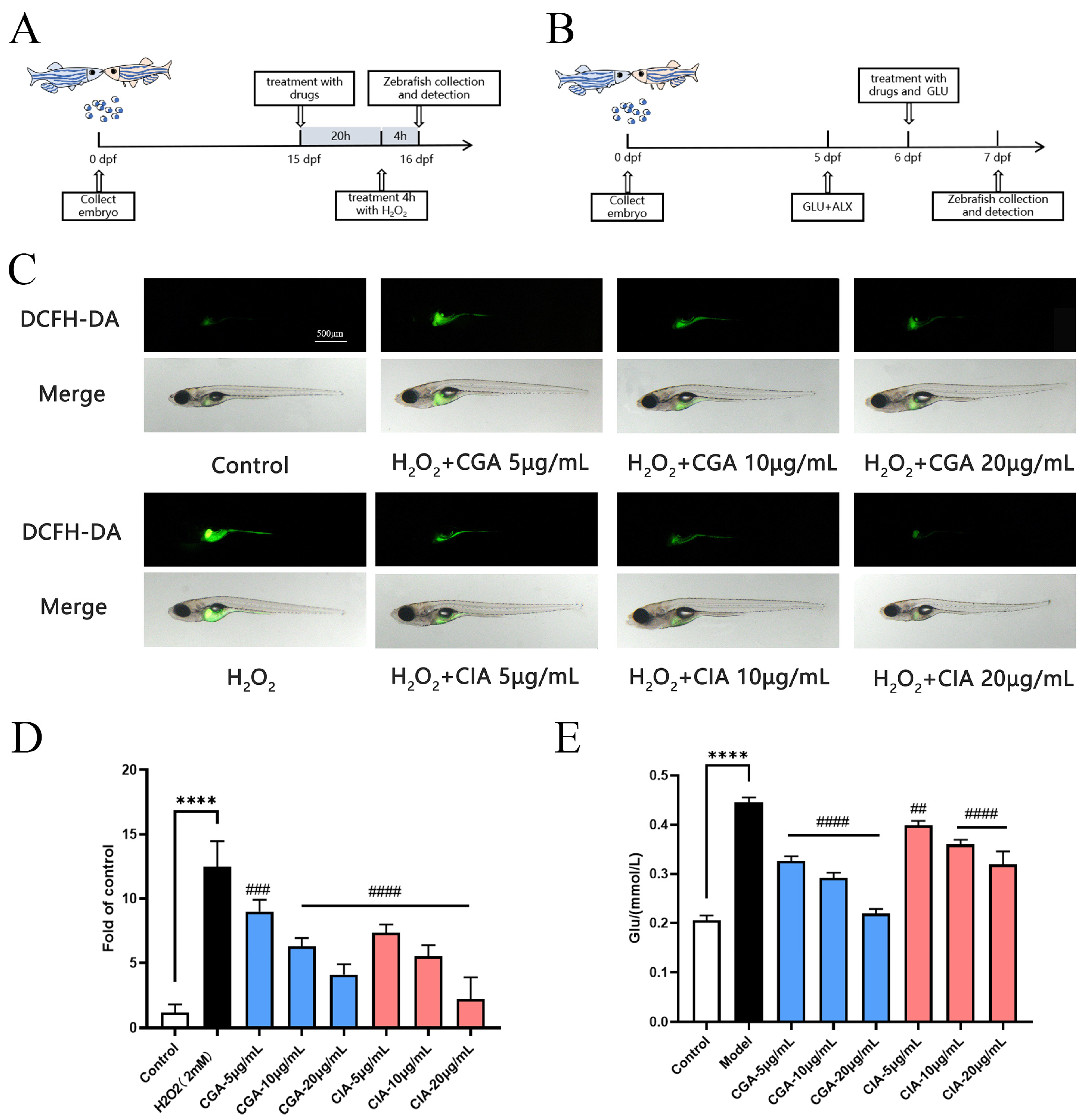 Foods 12 00901 g004 Foods 12 00901 g004