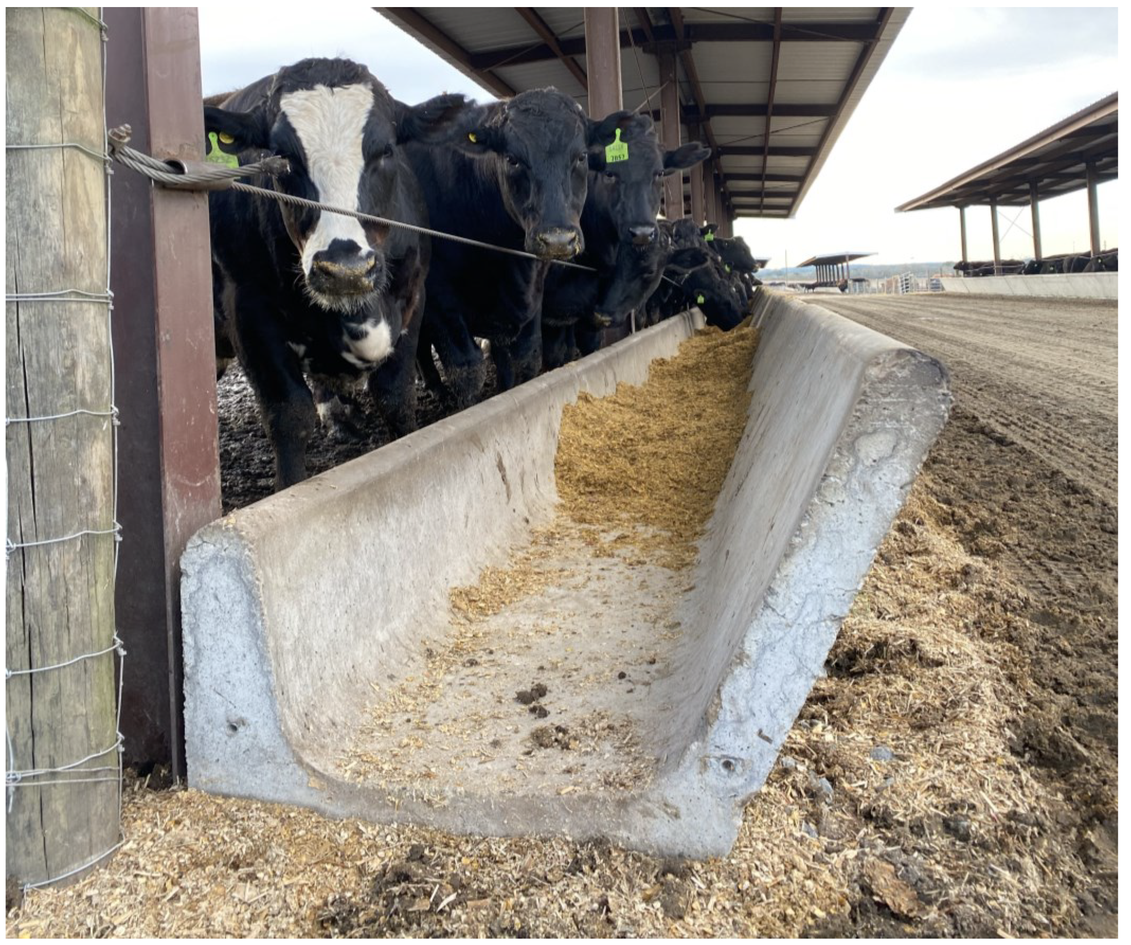 Foods 12 00904 g001 Foods 12 00904 g001