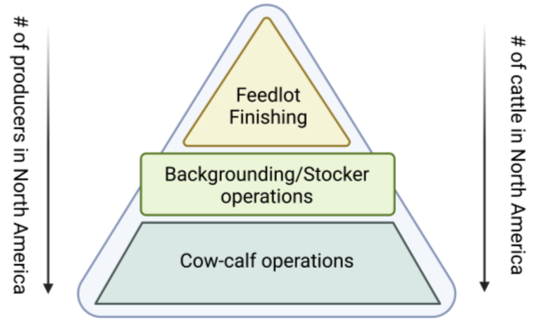 Foods 12 00904 g002 Foods 12 00904 g002