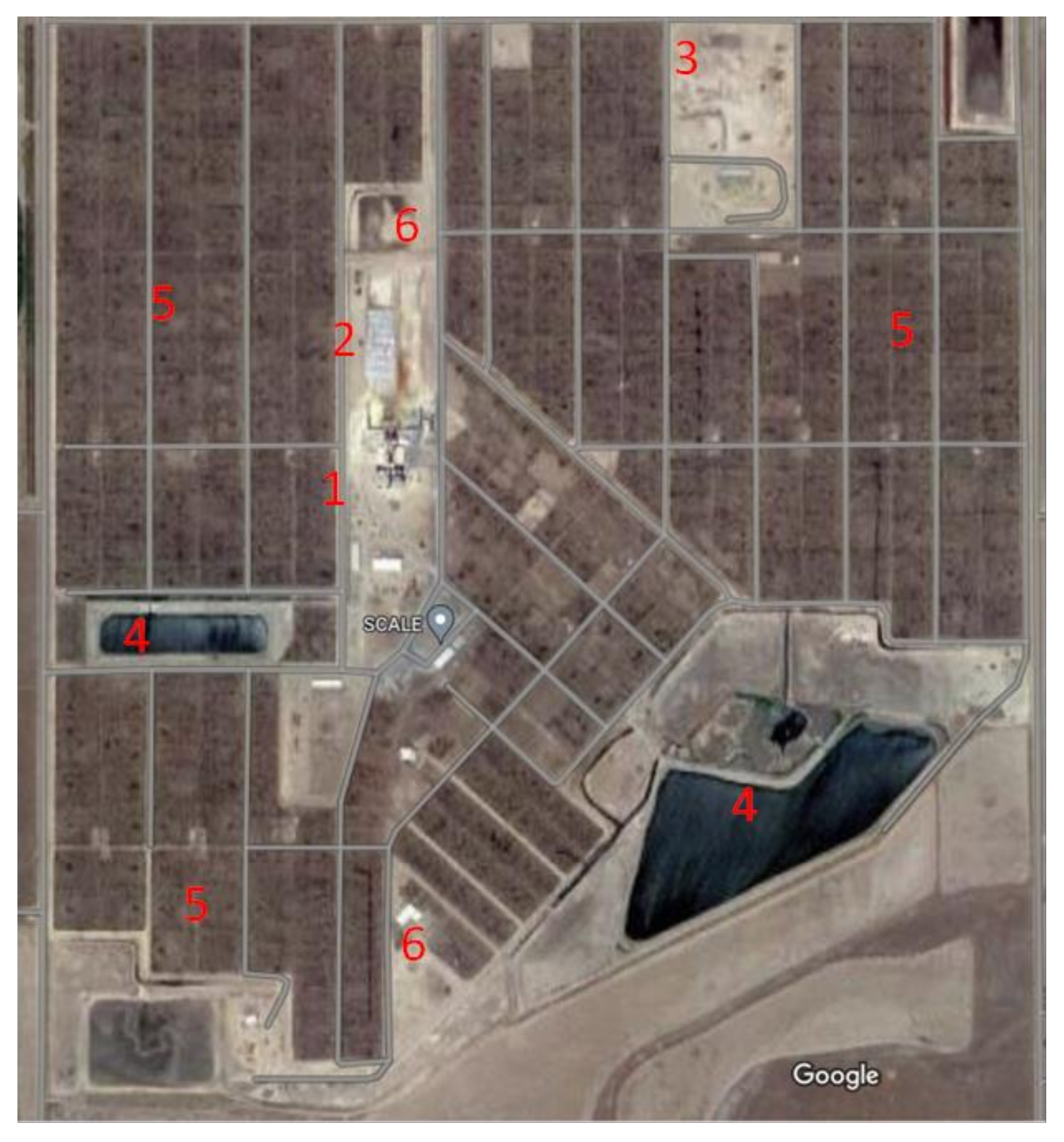 Foods 12 00904 g004 Foods 12 00904 g004