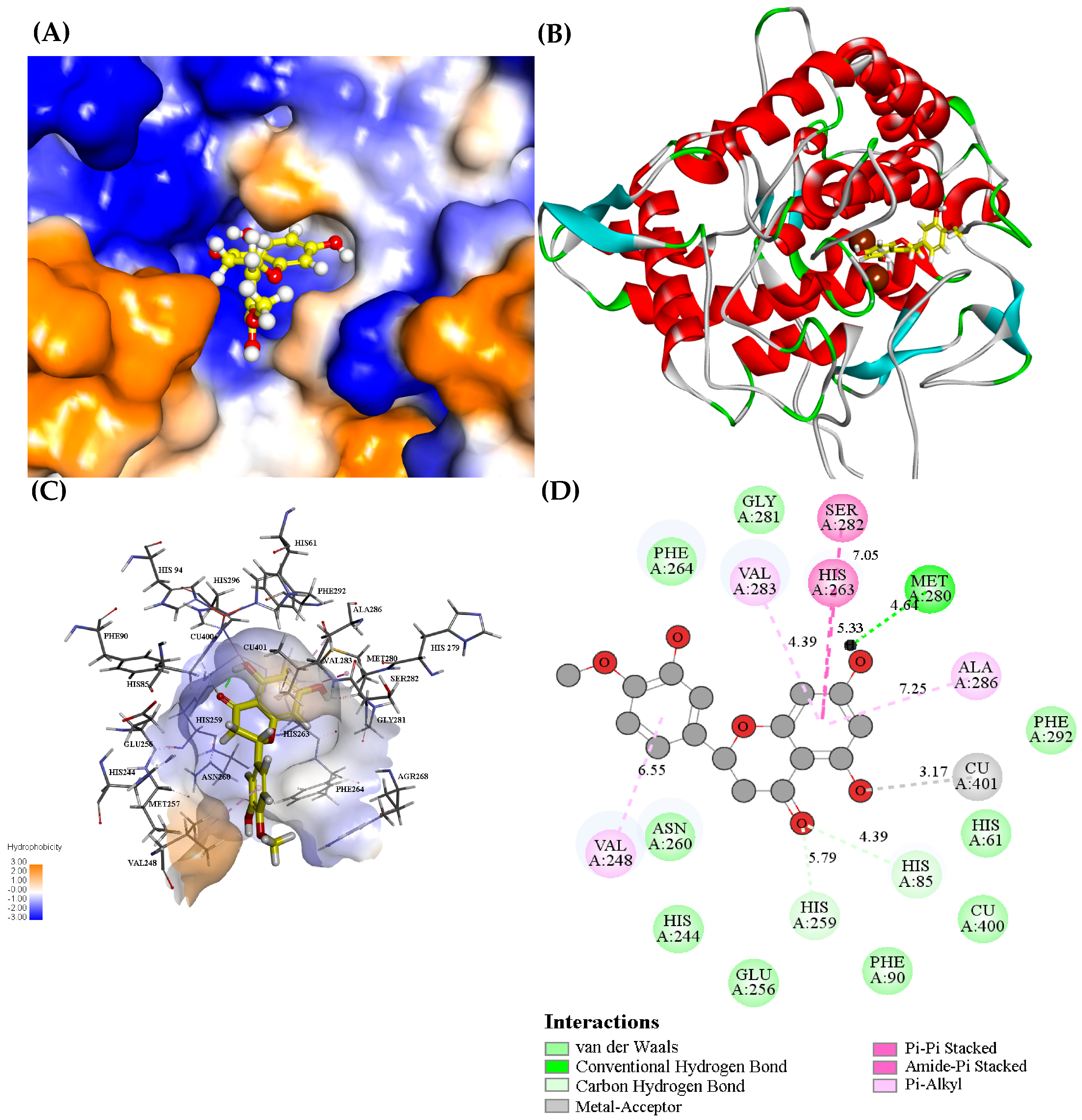 Foods 12 00905 g004 550
