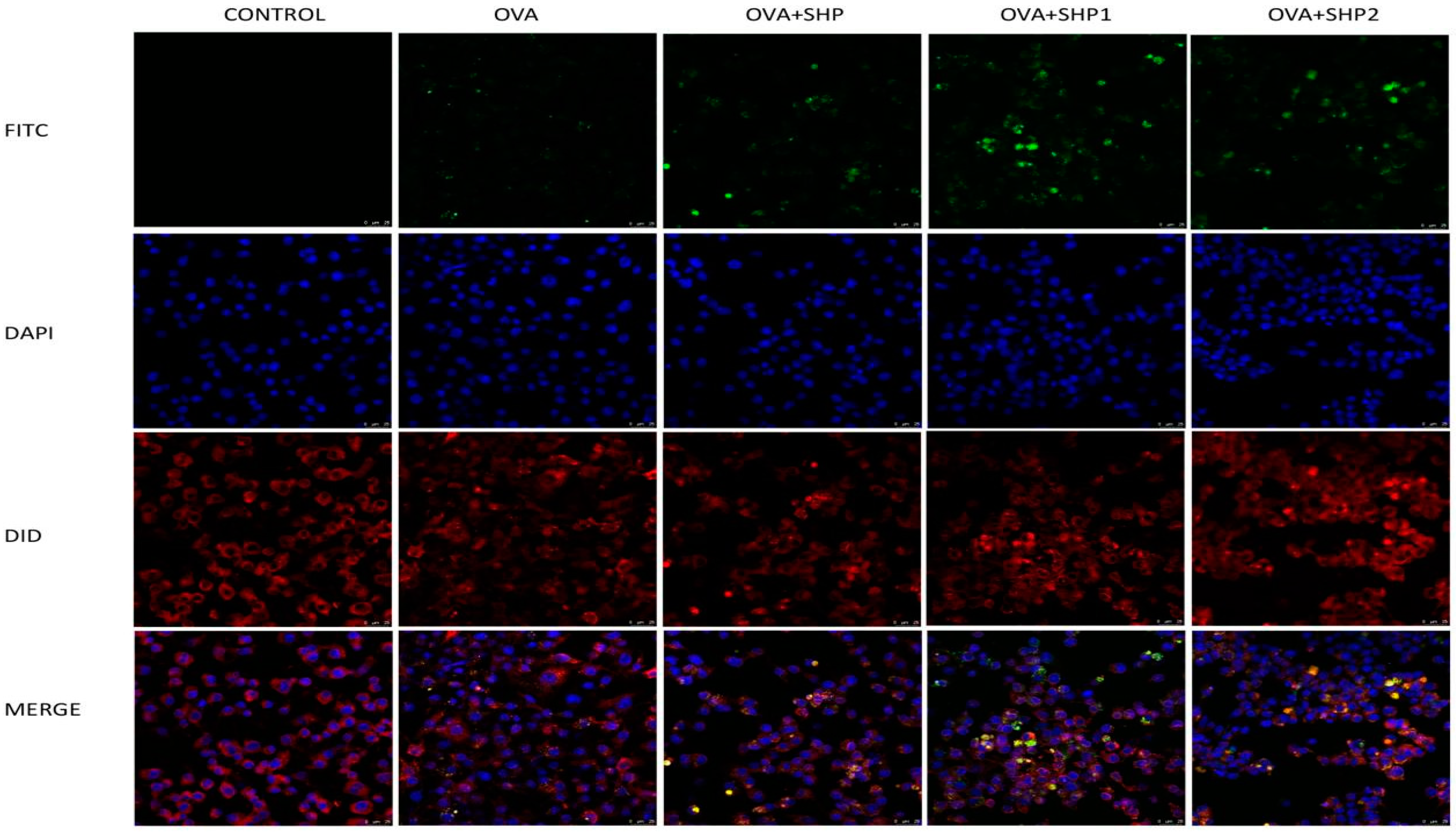 Foods 12 00910 g009 Foods 12 00910 g009