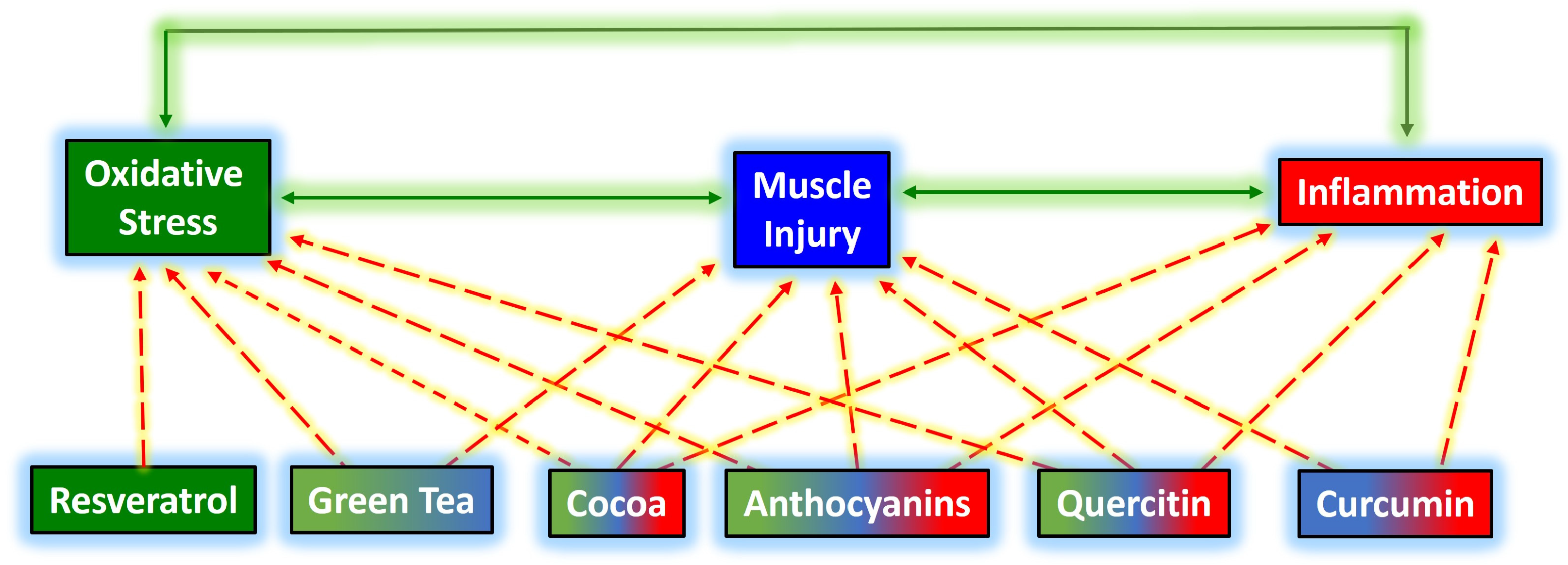 Foods Free FullText The Use of Some Polyphenols in the Modulation