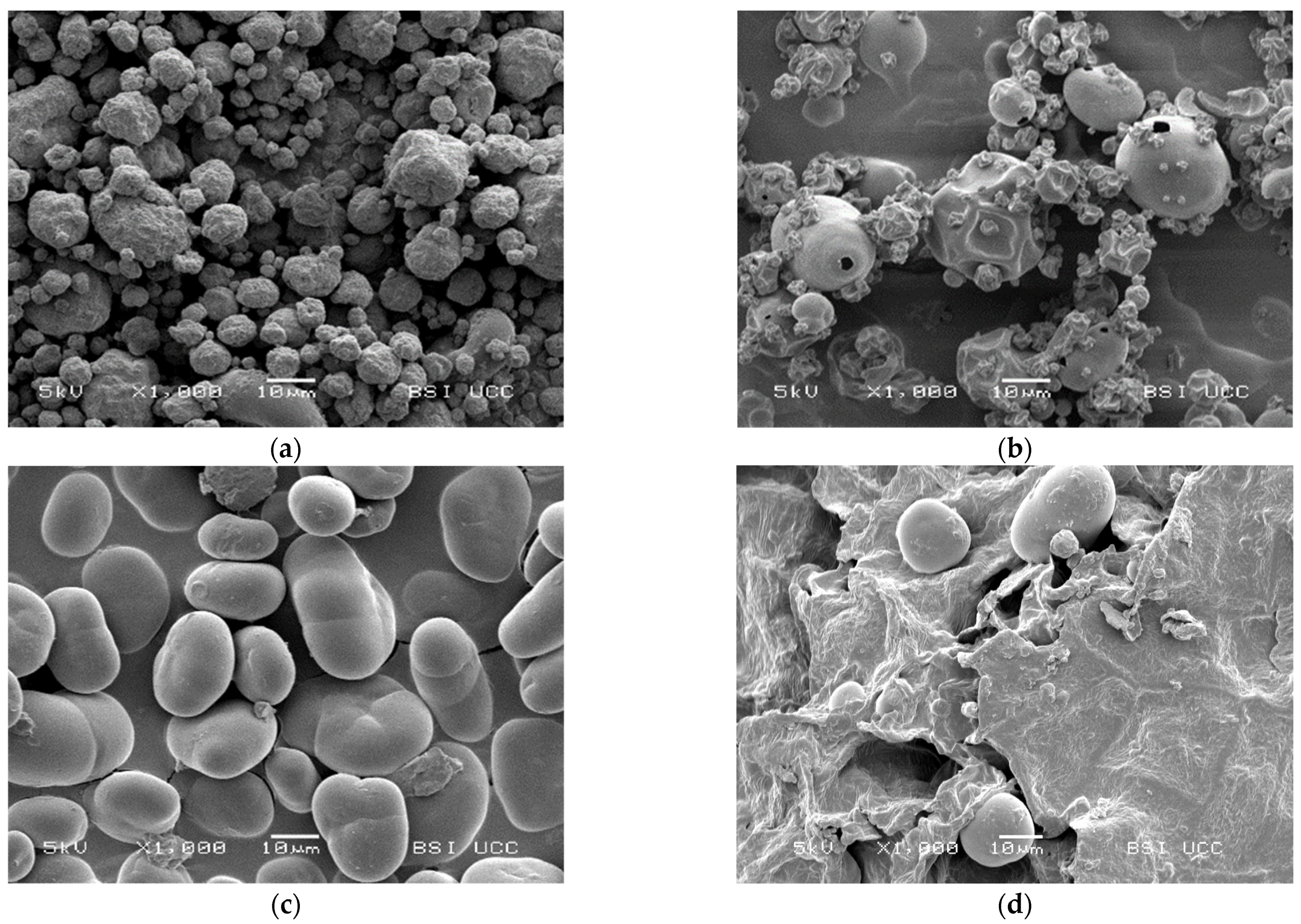 Foods 12 00919 g005 Foods 12 00919 g005