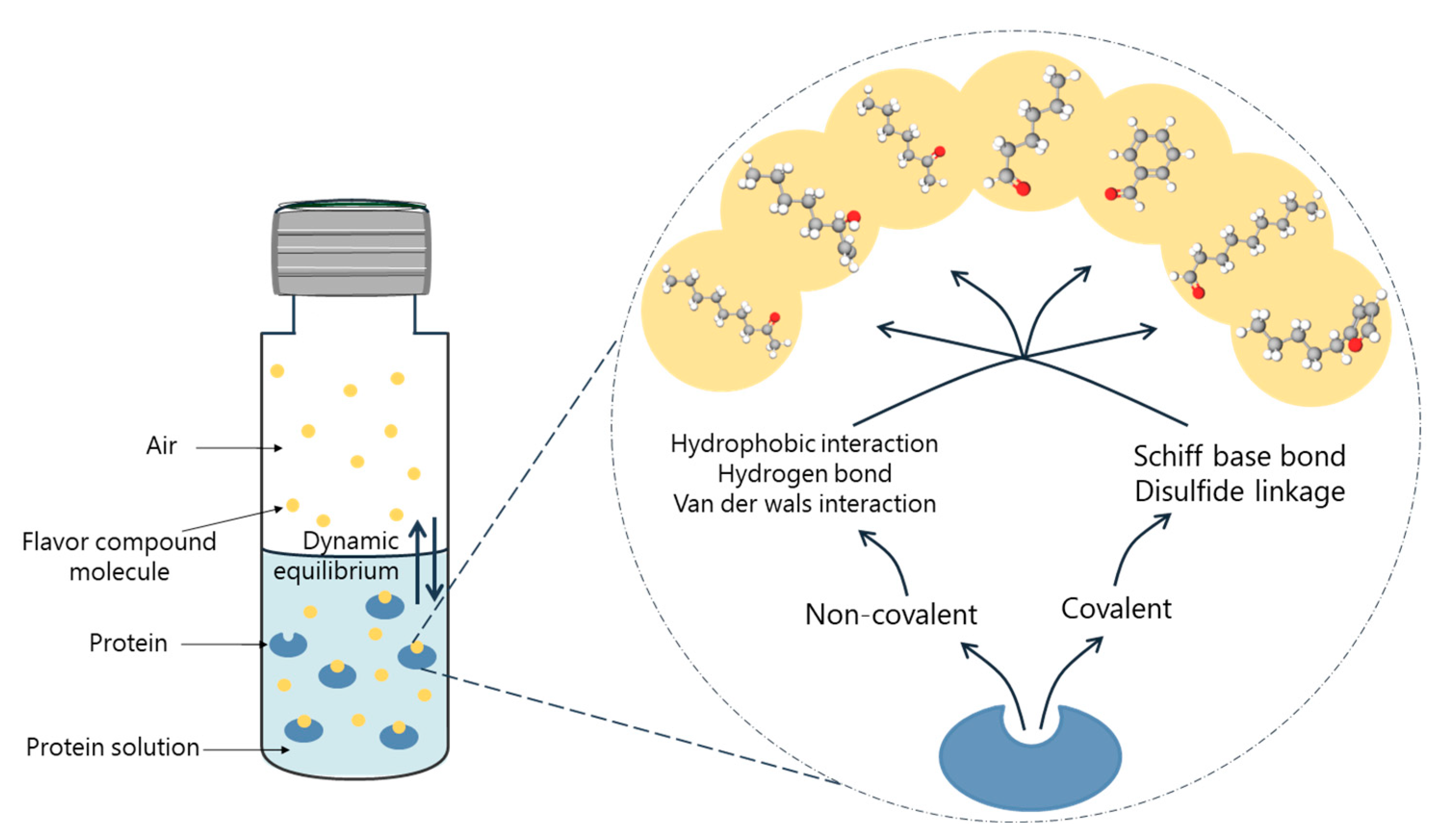 Control of Beany Flavor from Soybean Protein Raw Material in