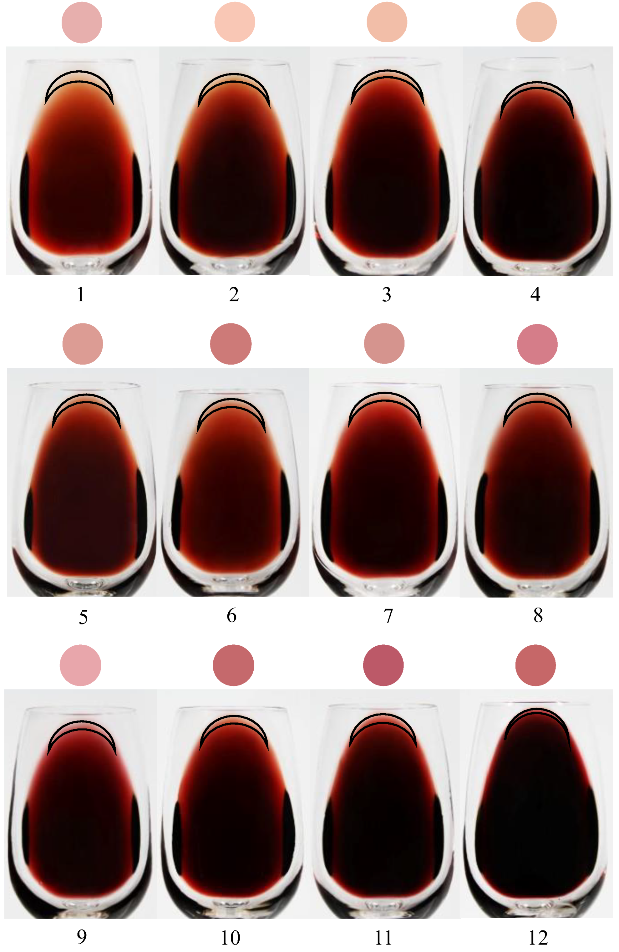 Foods 12 00924 g002 Foods 12 00924 g002