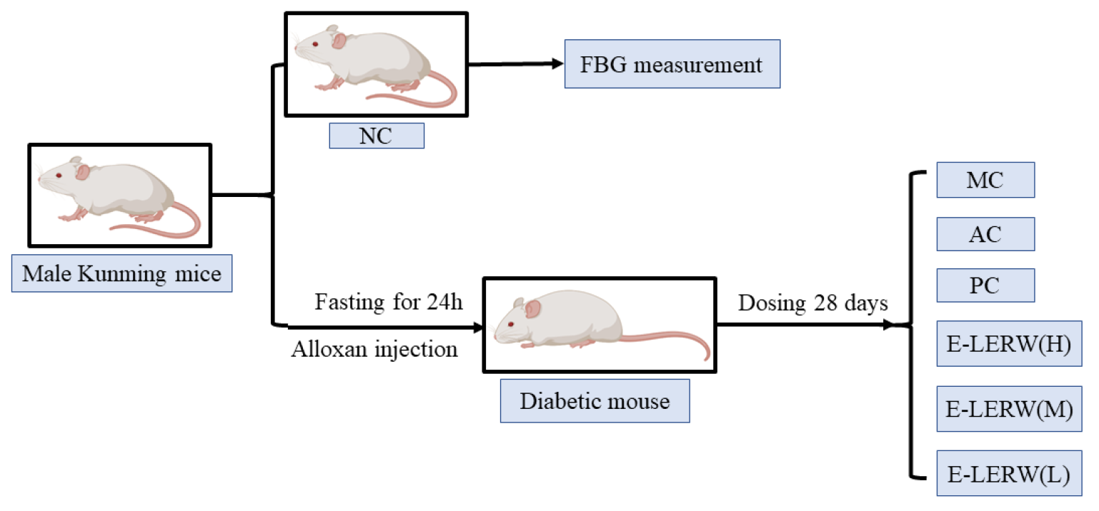 Foods 12 00927 g001 Foods 12 00927 g001
