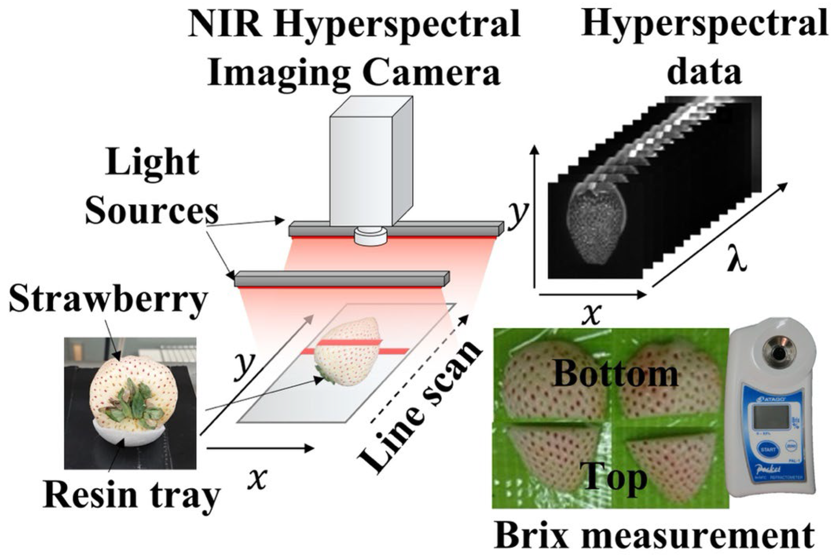 Foods 12 00931 g001 Foods 12 00931 g001