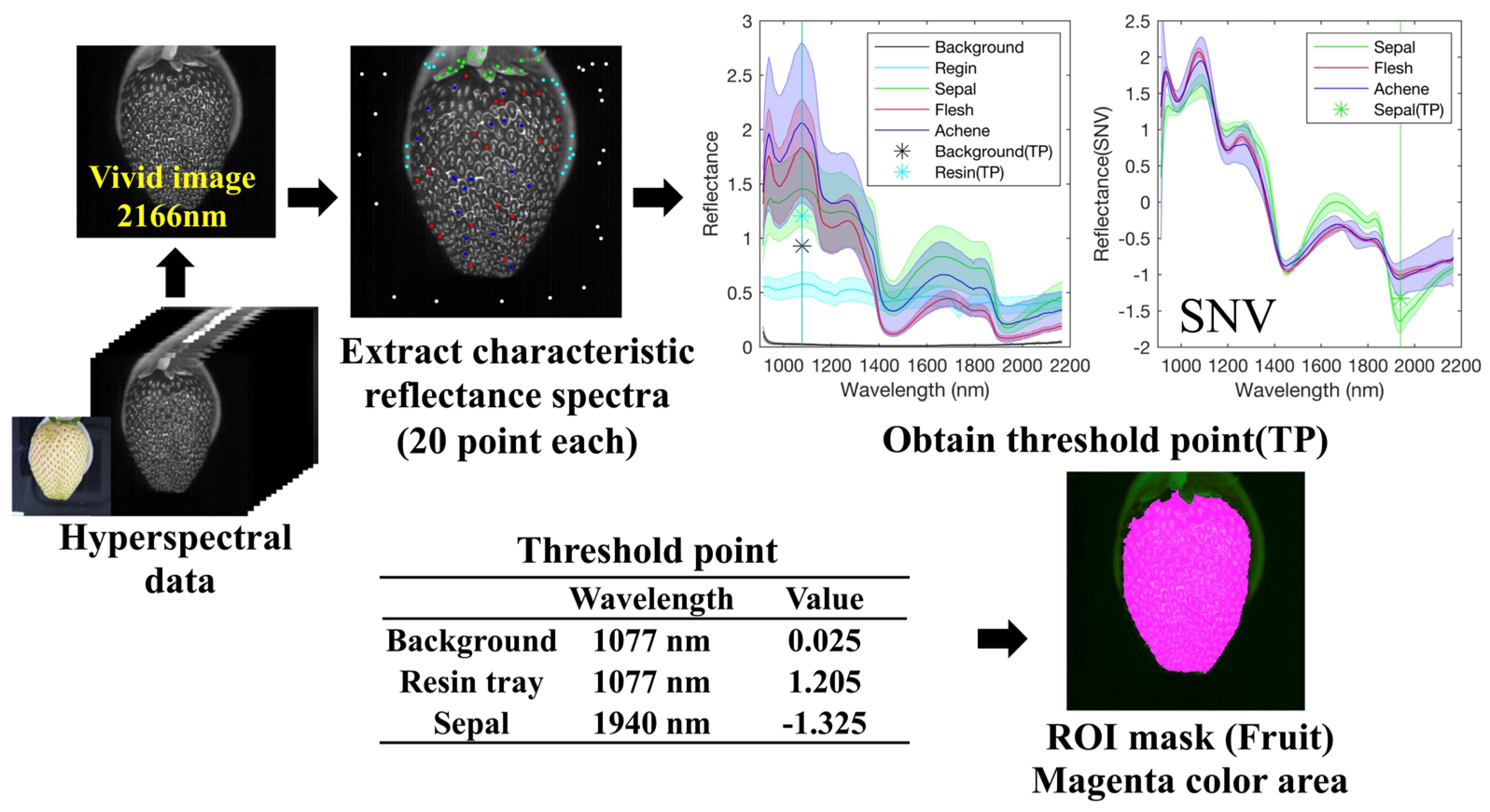 Foods 12 00931 g002 Foods 12 00931 g002