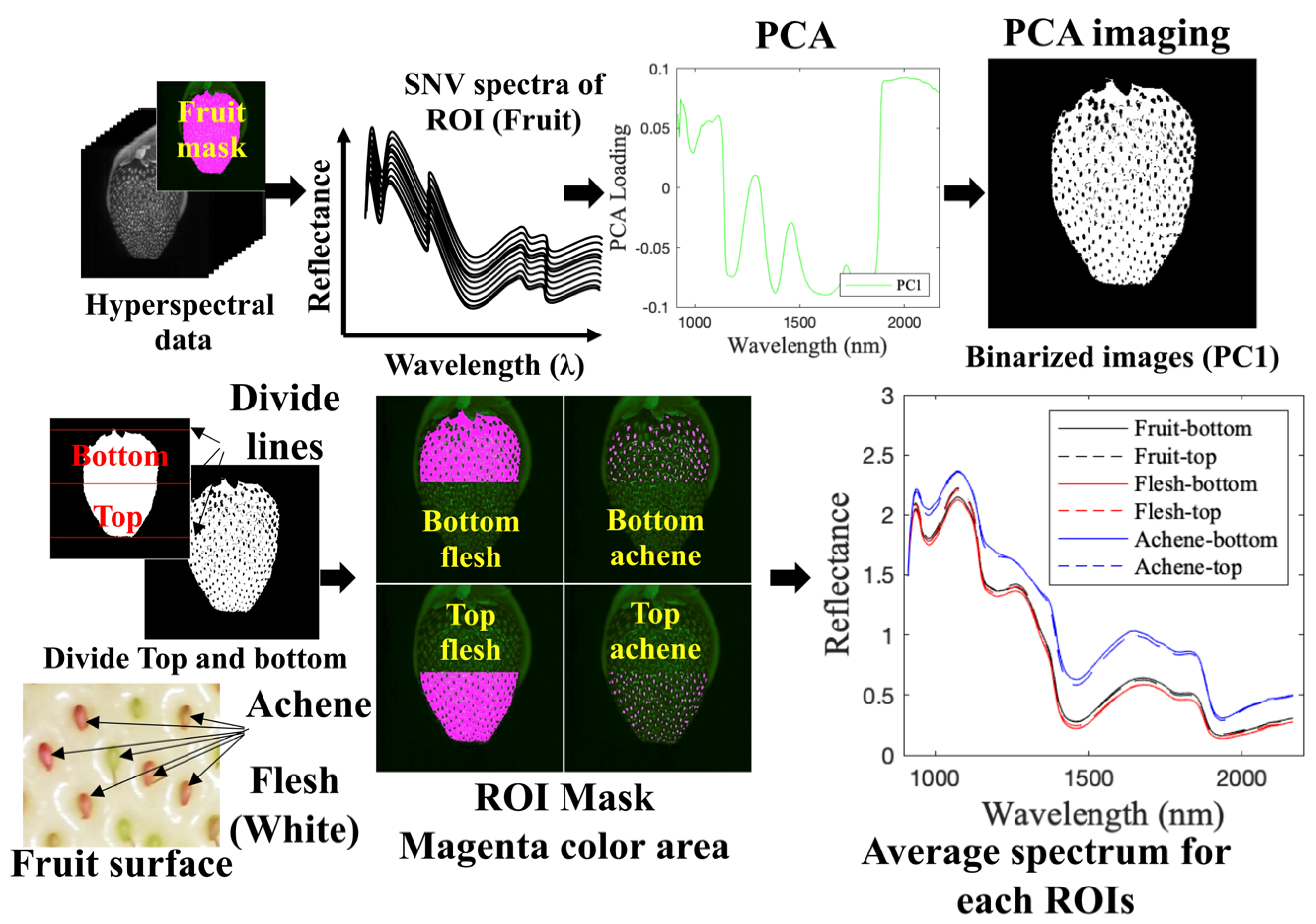 Foods 12 00931 g003 Foods 12 00931 g003