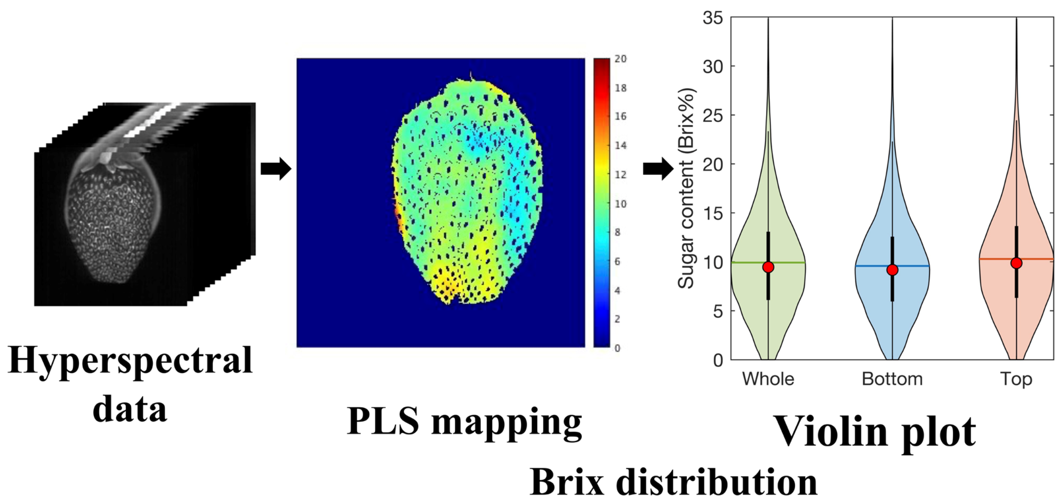 Foods 12 00931 g004 Foods 12 00931 g004