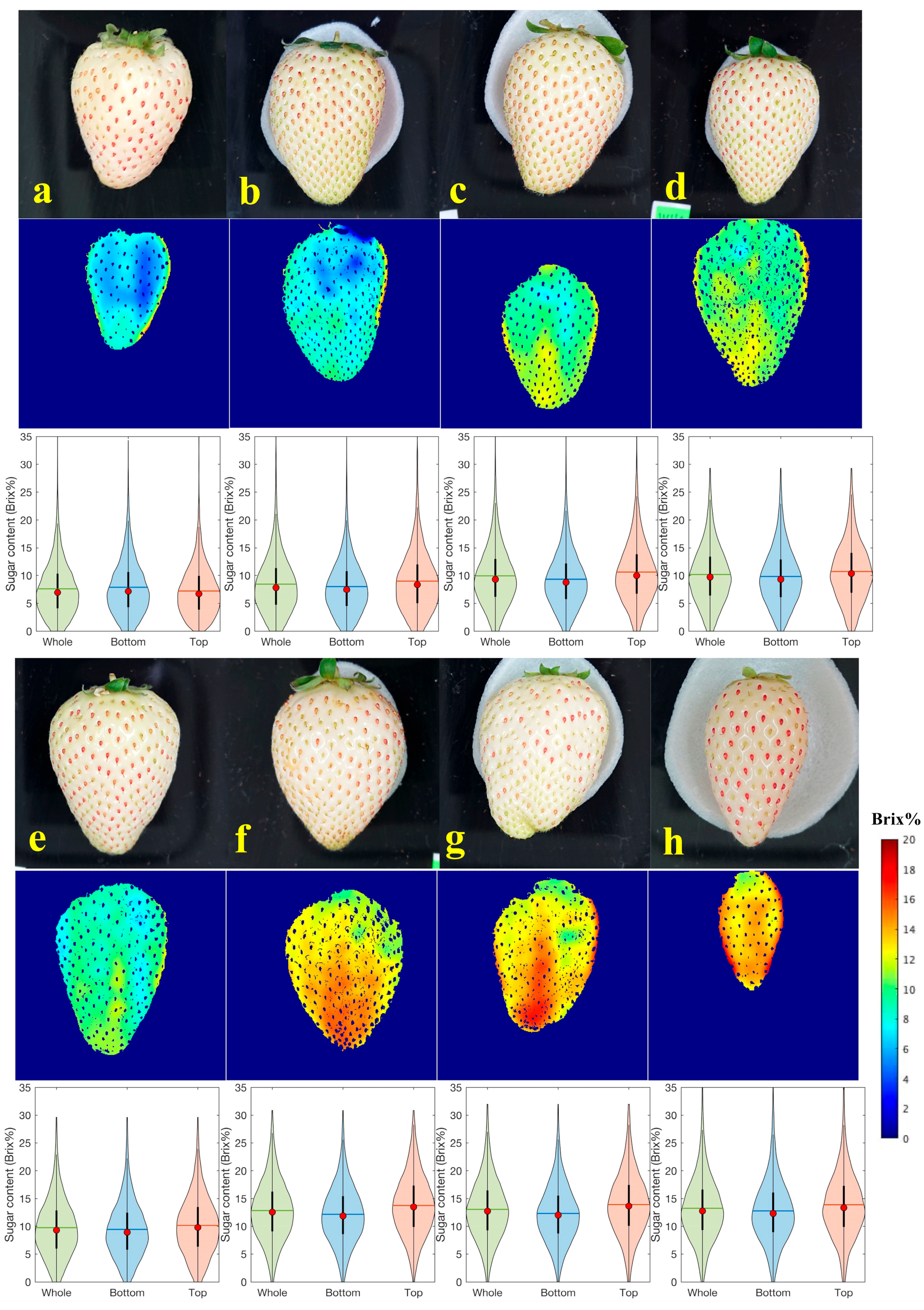 Foods 12 00931 g010 Foods 12 00931 g010