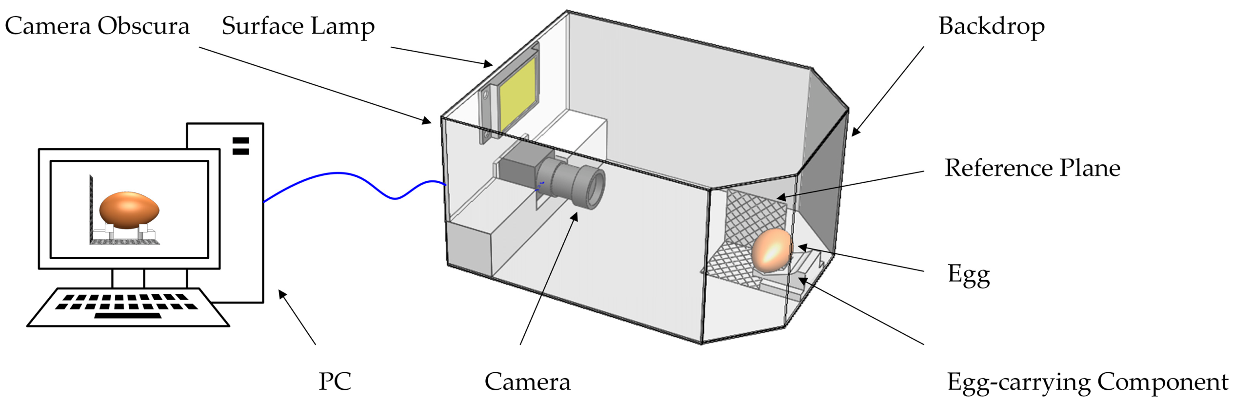 Foods 12 00936 g001 Foods 12 00936 g001