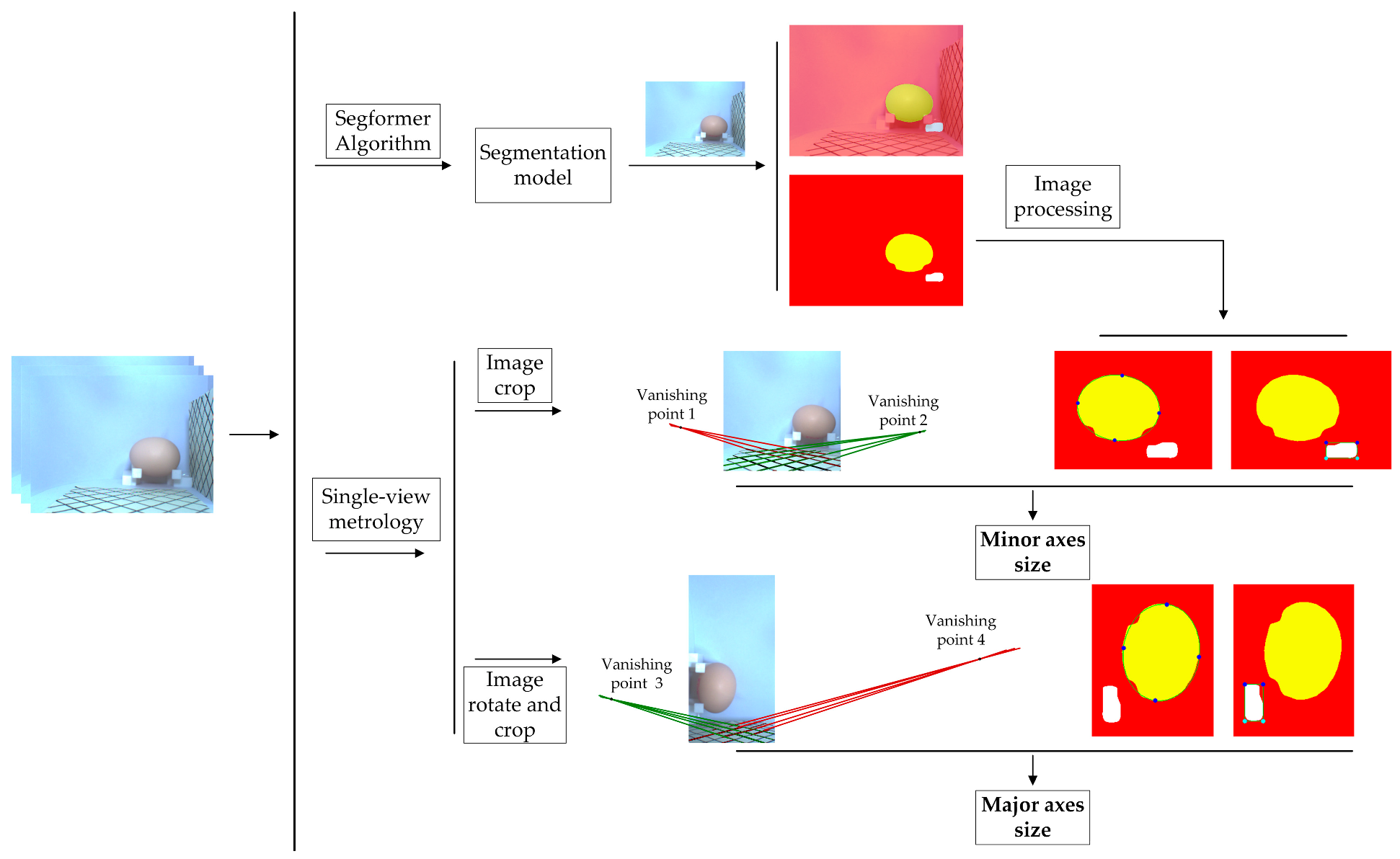 Foods 12 00936 g007 Foods 12 00936 g007