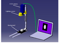Foods 12 00936 i001 Foods 12 00936 i001