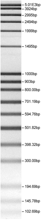 Foods 12 00937 i001 Foods 12 00937 i001