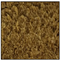 Foods 12 00937 i005 Foods 12 00937 i005