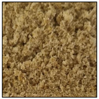 Foods 12 00937 i007 Foods 12 00937 i007