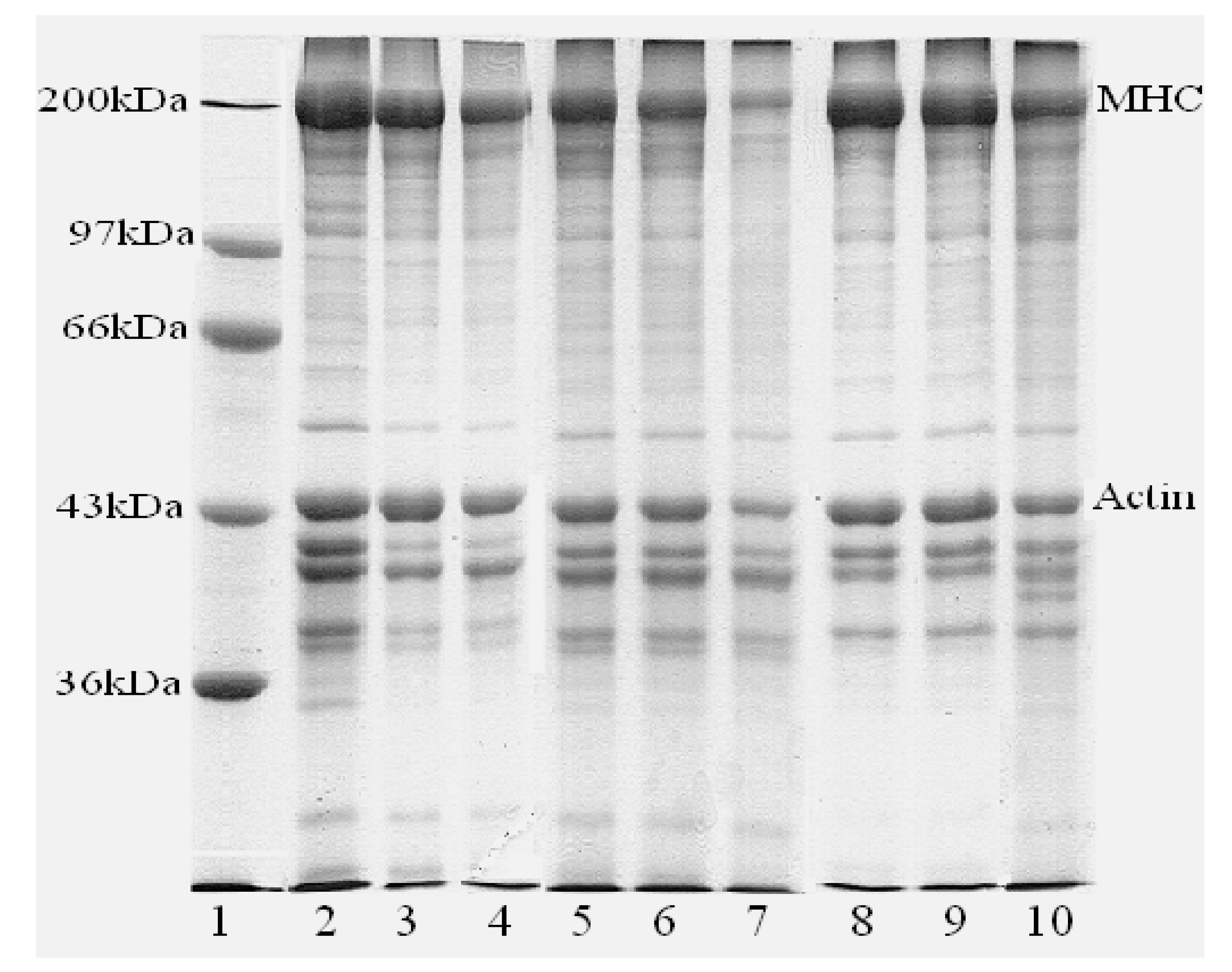 Foods 12 00939 g002 Foods 12 00939 g002