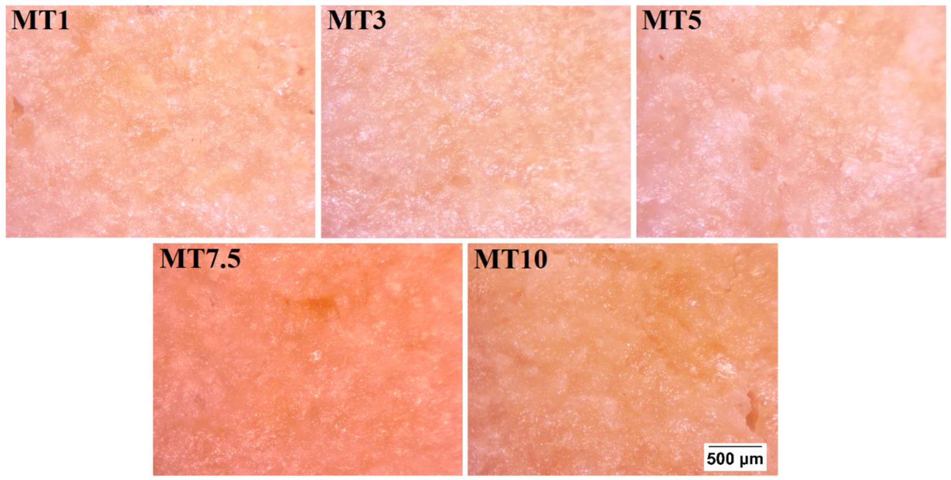Foods 12 00941 g013 Foods 12 00941 g013